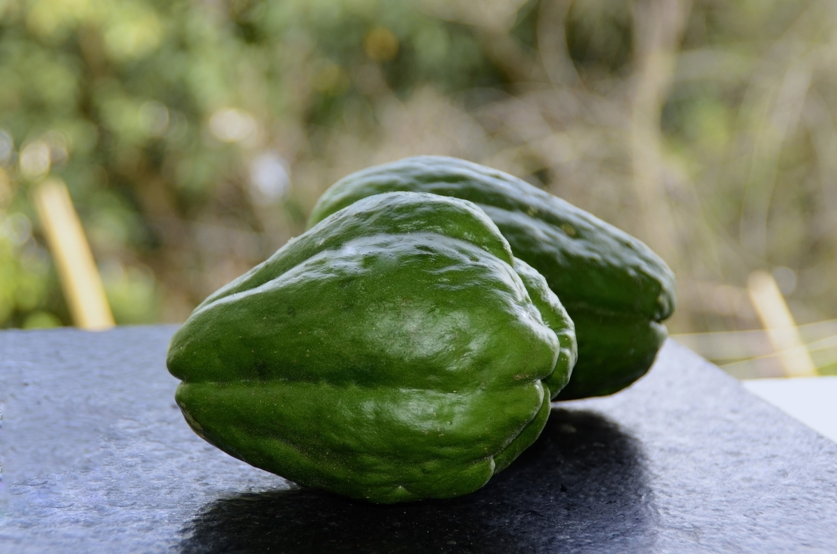 贝贝绿南瓜重量：一般多少克？