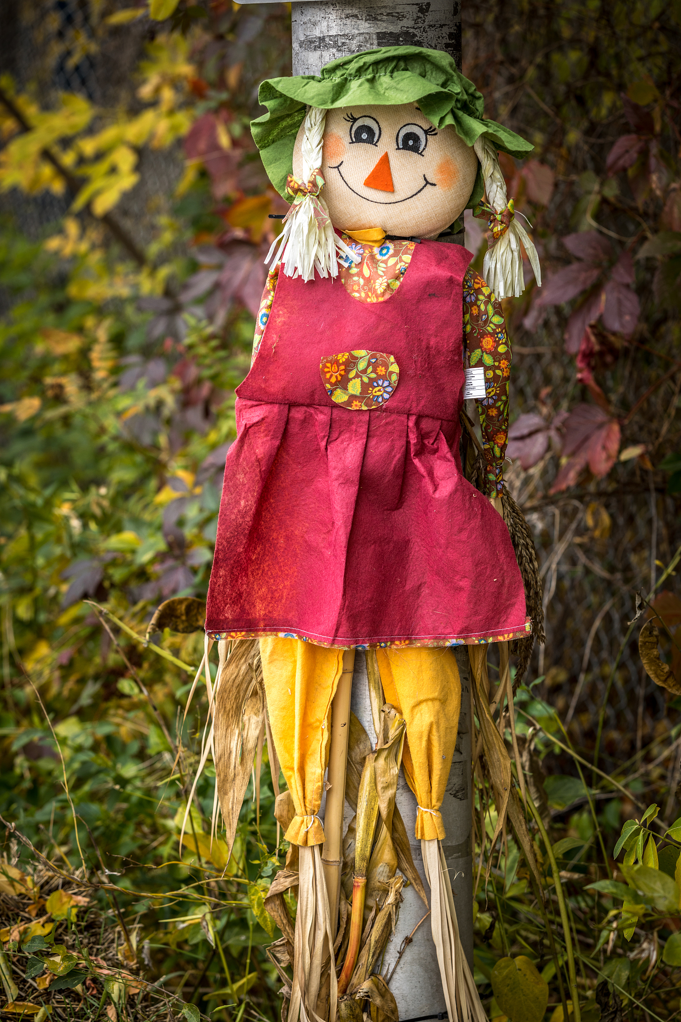 如何制作草人：简单易学的步骤指南