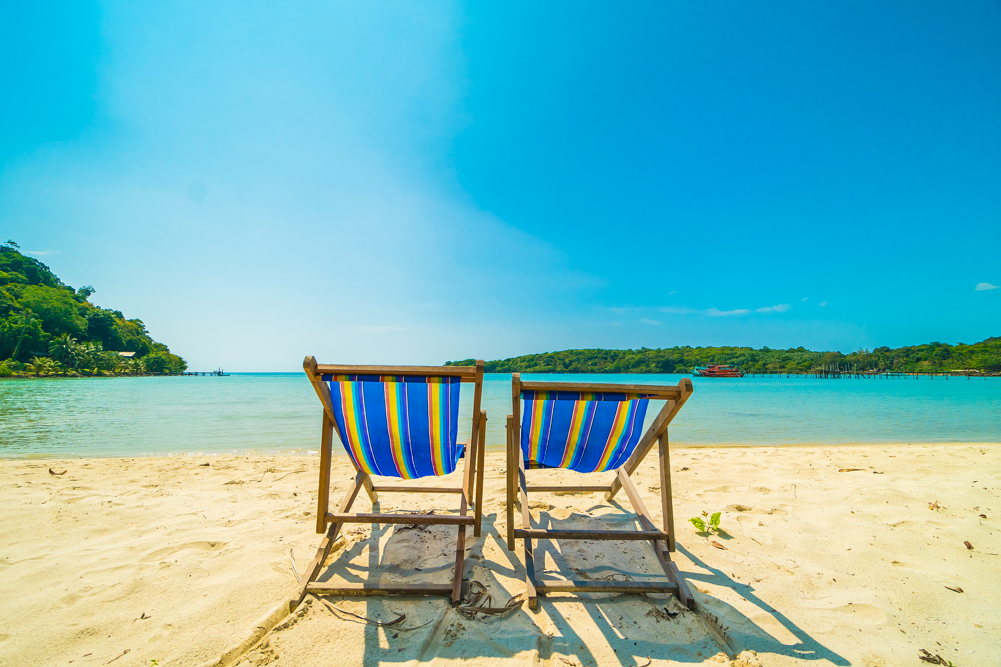beautiful tropical beach and sea with coconut palm tree in parad