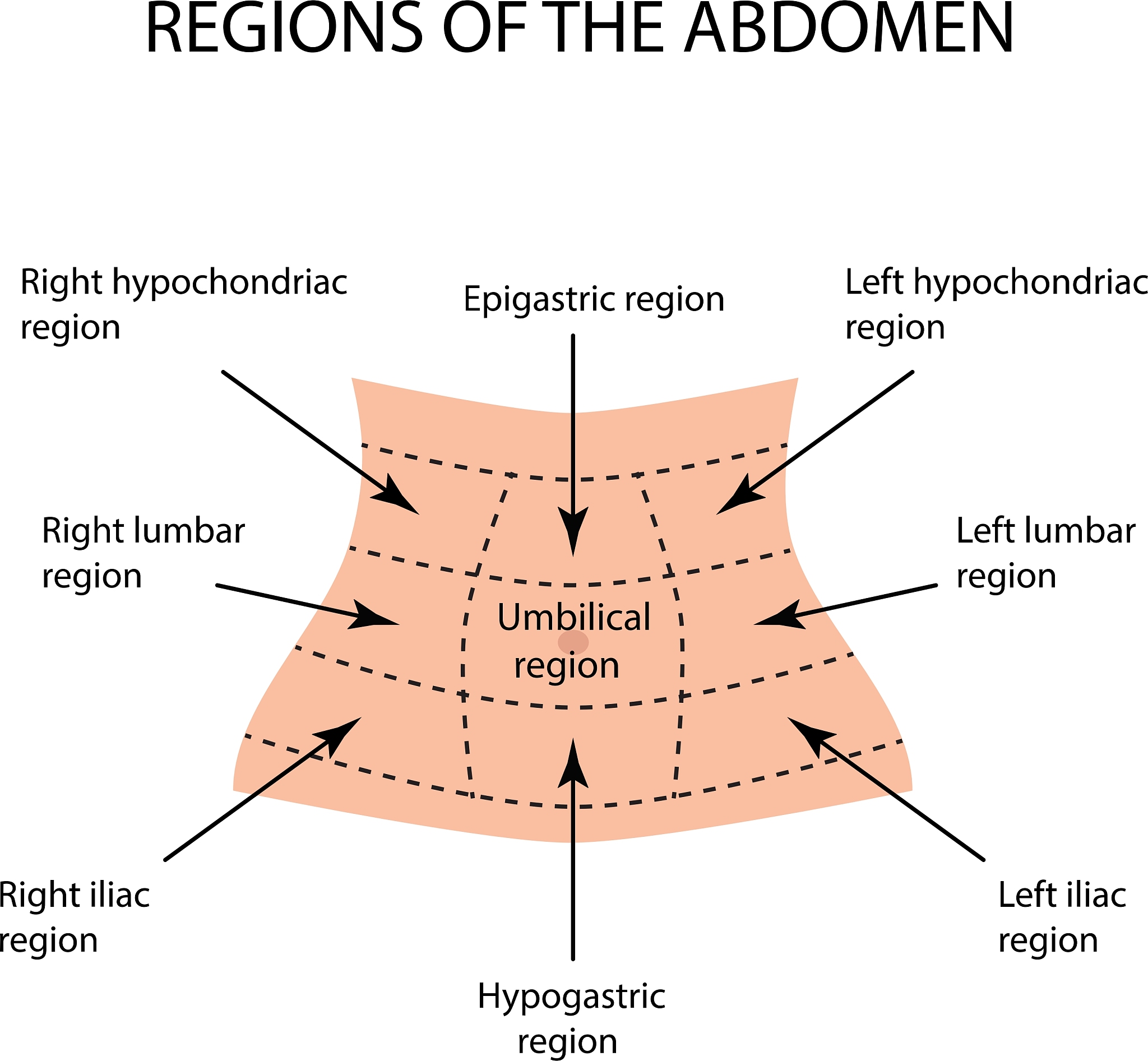 Pengertian Sistem: Definisi, Jenis, dan Contoh