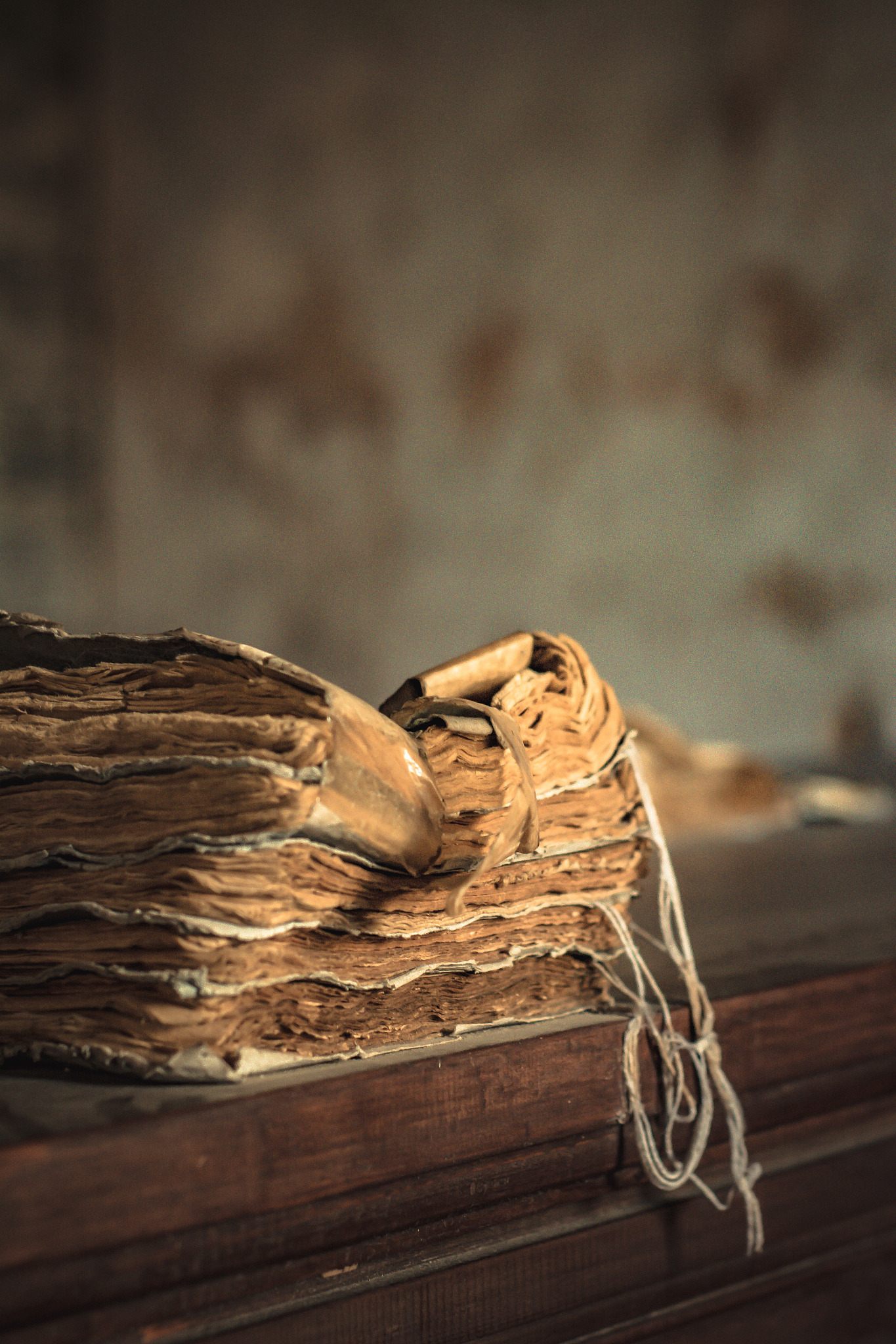 抚摸经纶，感受生命的绵延与轮回