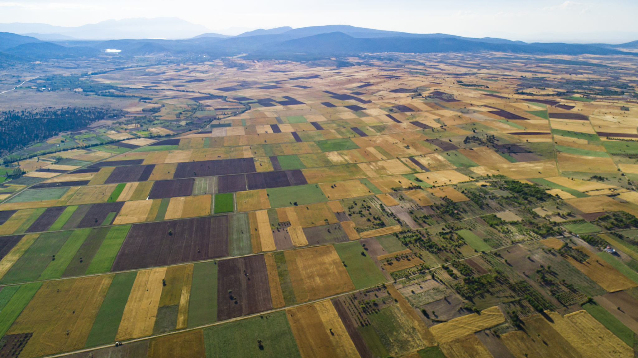 farmland, soils, fields, vineyards, gardens and rural developmen