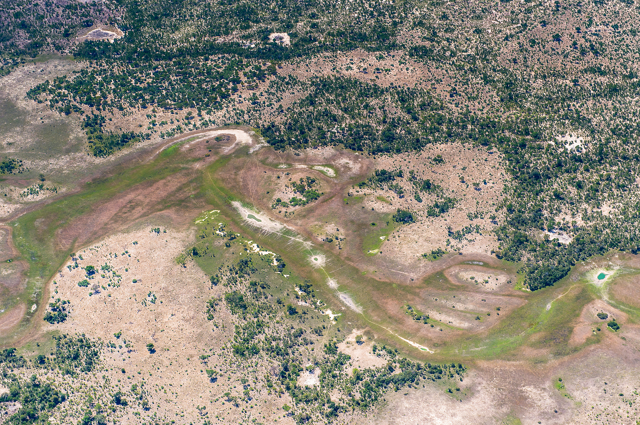 aerial view of okavango delta (okavango grassland), one of the s