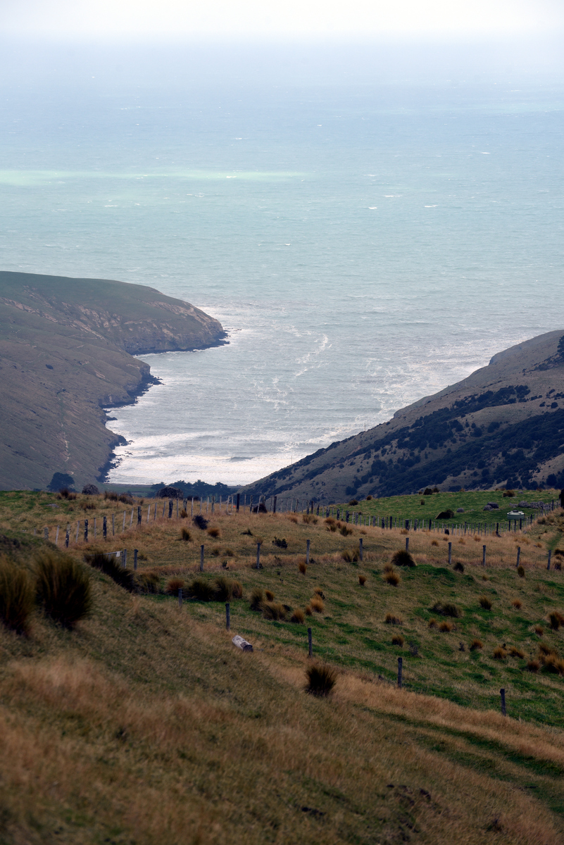 TE开头的英文单词大全 - TE可以组成哪些单词
