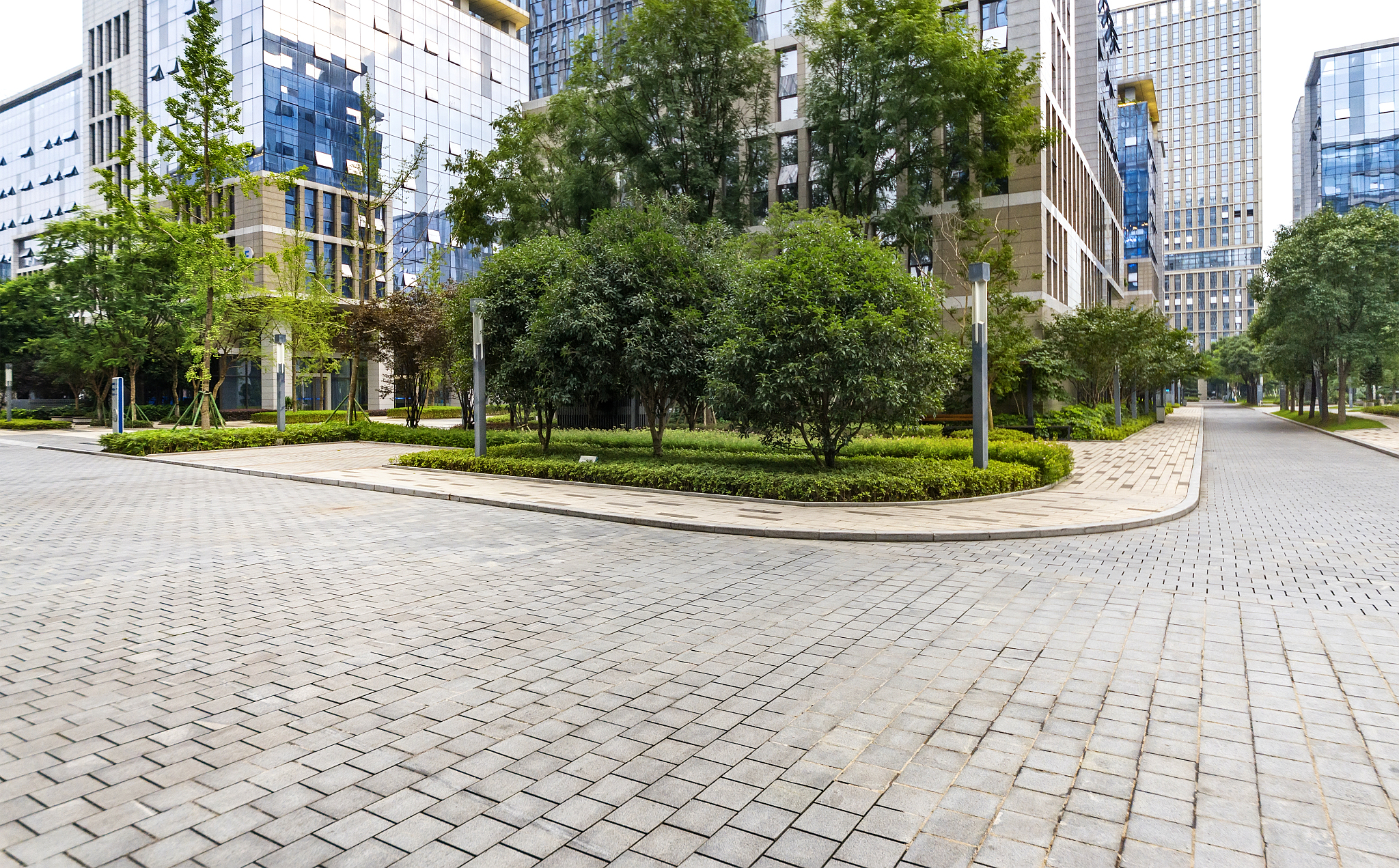 重庆科技职业学院审计专业都学些什么