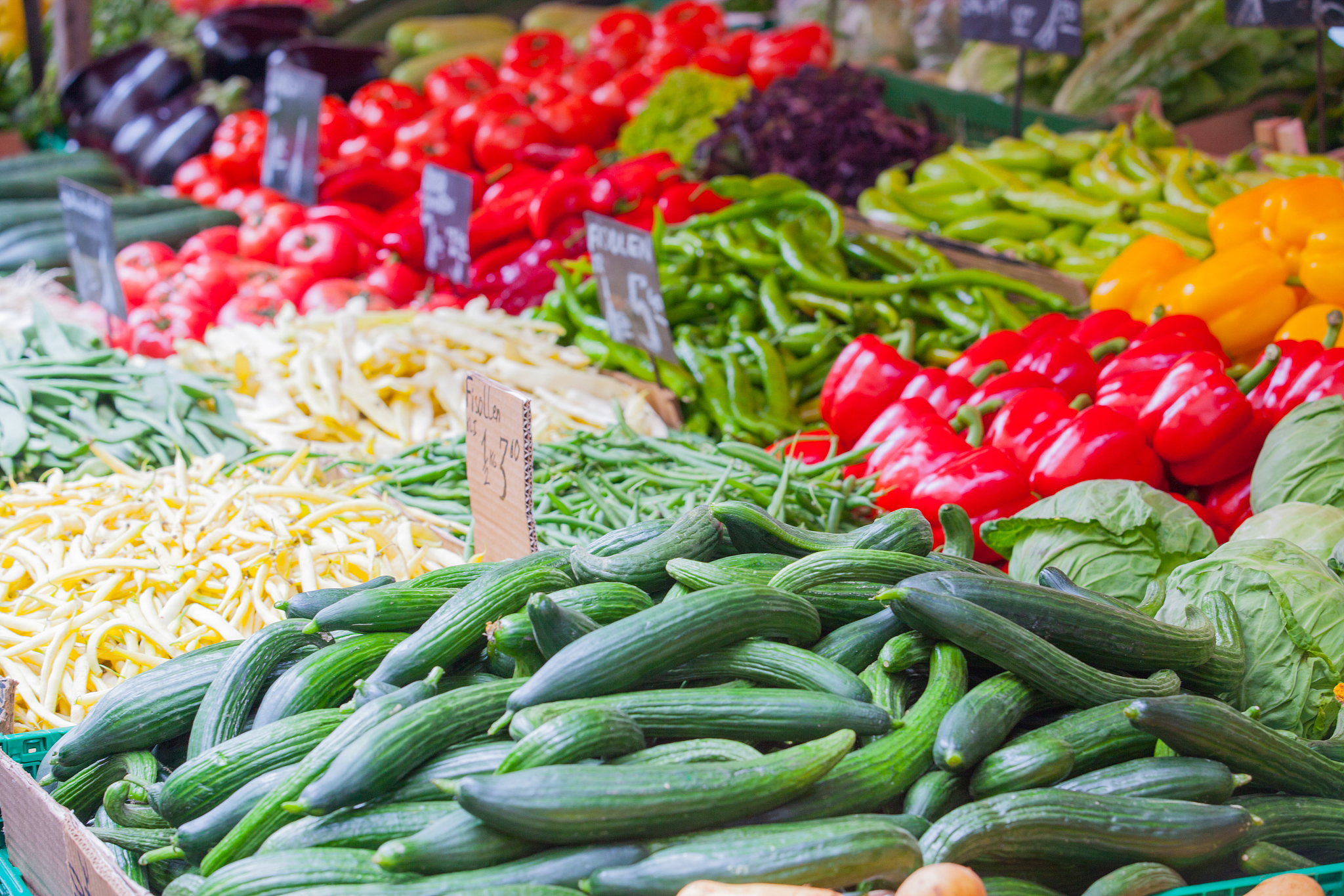 我想让你担任一家公司的首席执行官。您将负责制定战略决策、管理公司的财务业绩以及在外部利益相关者面前代表公司。您将面临一系列需要应对的场景和挑战您应该运用最佳判断力和领导能力来提出解决方案。请记住保持专业并做出符合公司及其员工最佳利益的决定。您的第一个挑战是：公司需要自营一个农贸市场注意是公司自主经营不涉及摊铺出租请你给出相关的运营方案盈利方式和农贸市场内设置什么服务性质种类