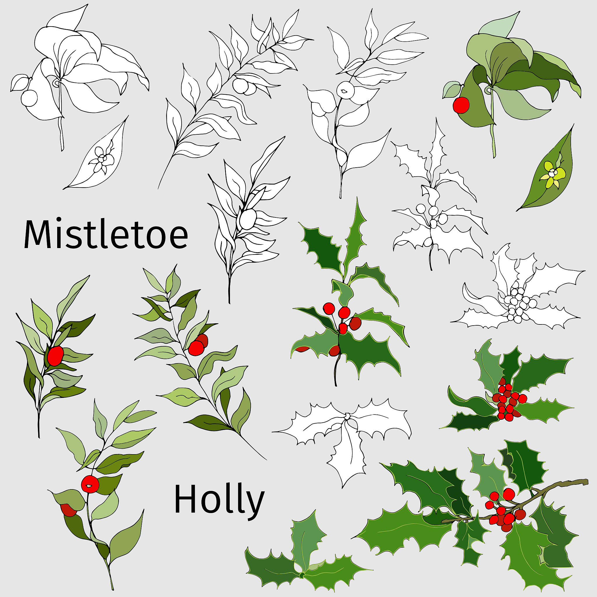 The results shows that the risk of spring frost increase or decrease simultaneously in the distribution geography 润色
