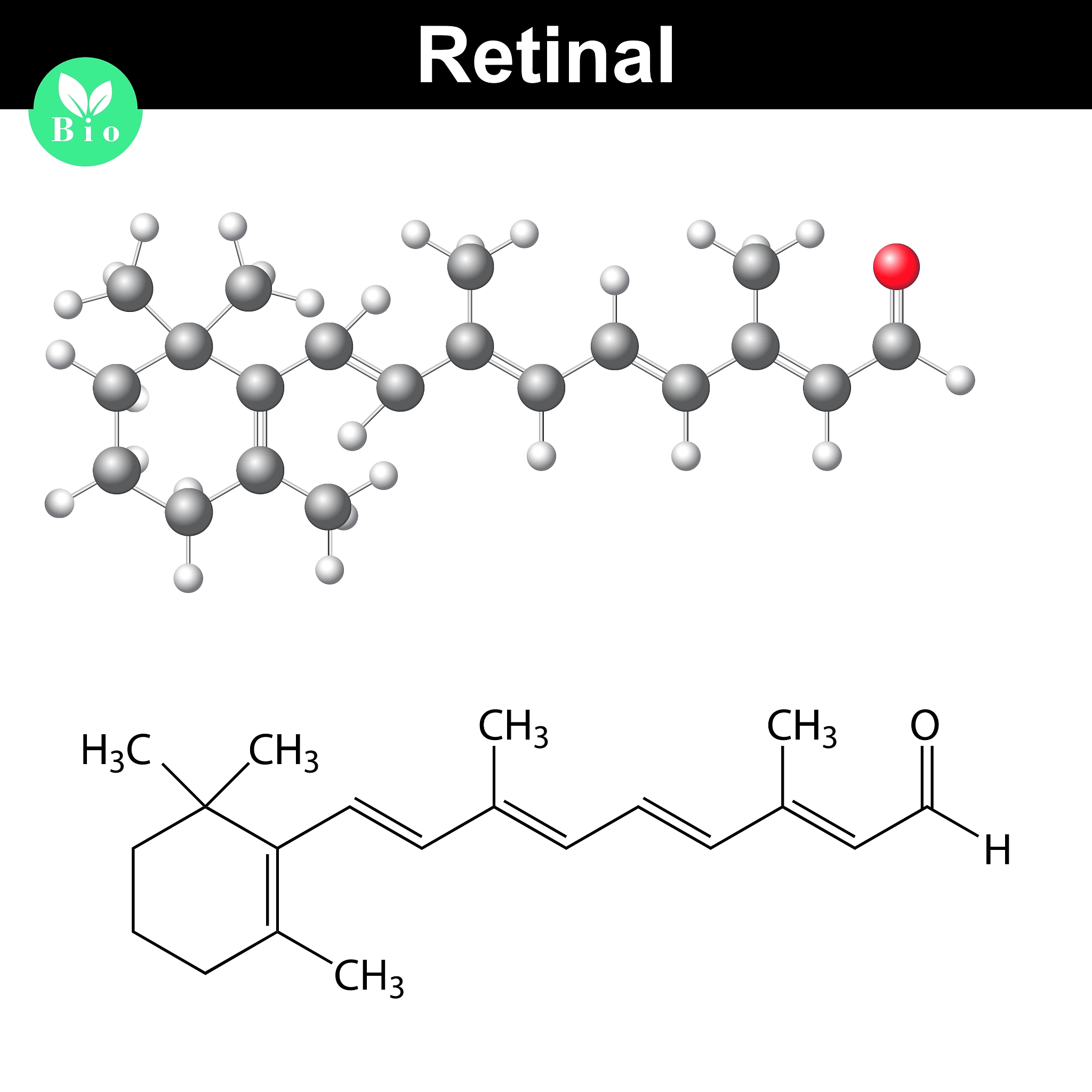 增强D-泛解酸内酯水解酶活性的硅基工程方法及分子机制