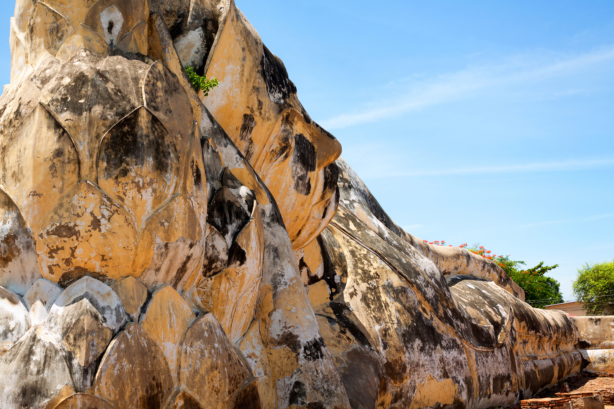 买了佛冷什么意思