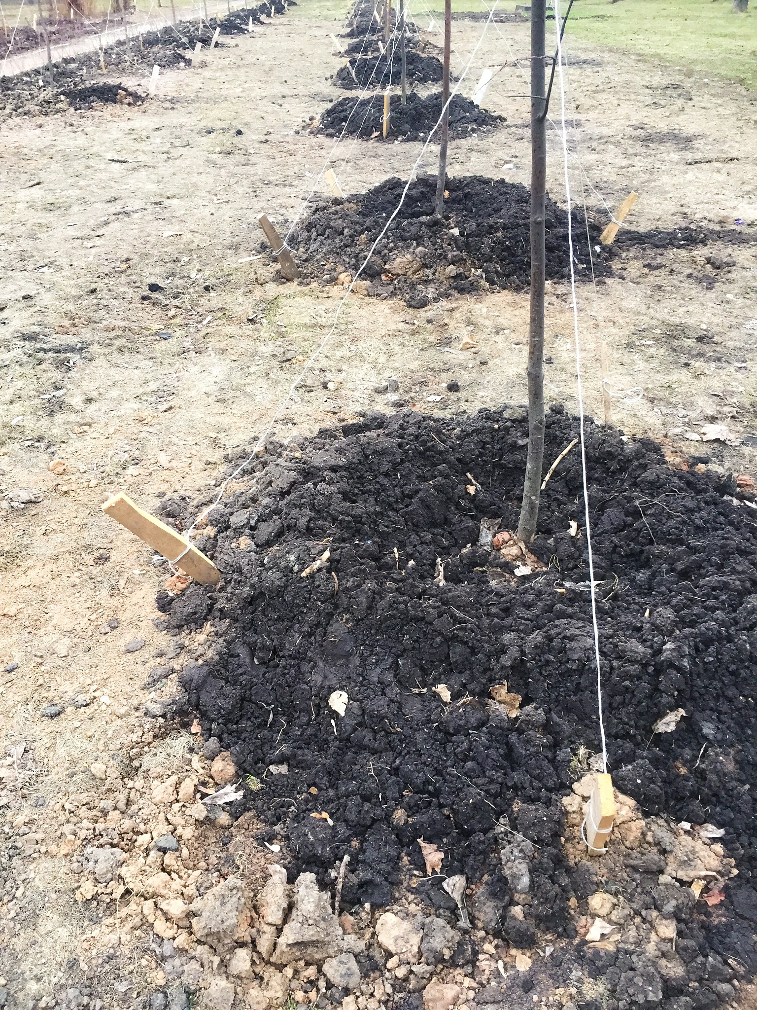 场地腐蚀性评估及防腐建议