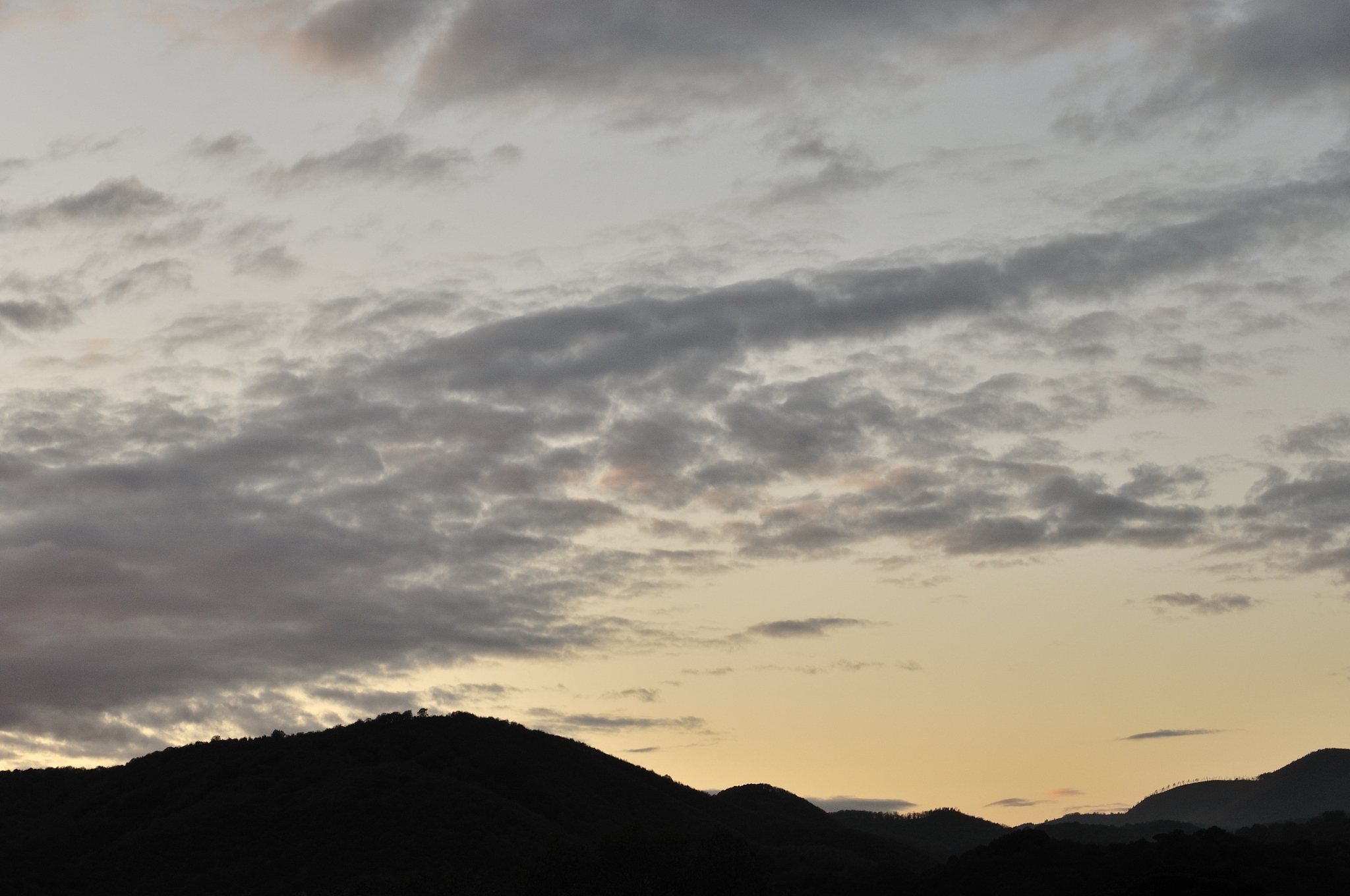 石河子大学农业资源与环境专业就业前景深度解读