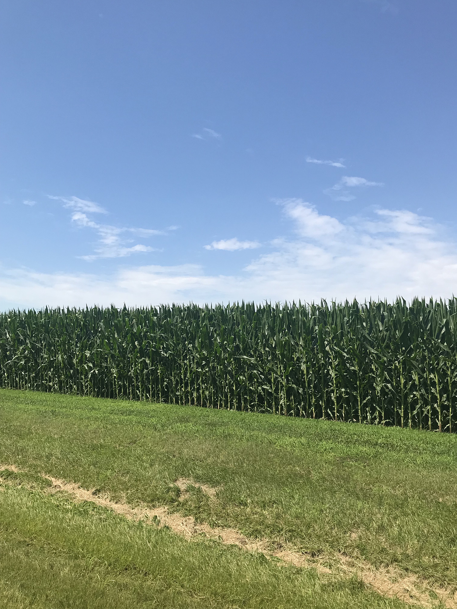Projected Increase in Vapor Pressure Deficit (VPD) During Corn Growing Season in Northeast China
