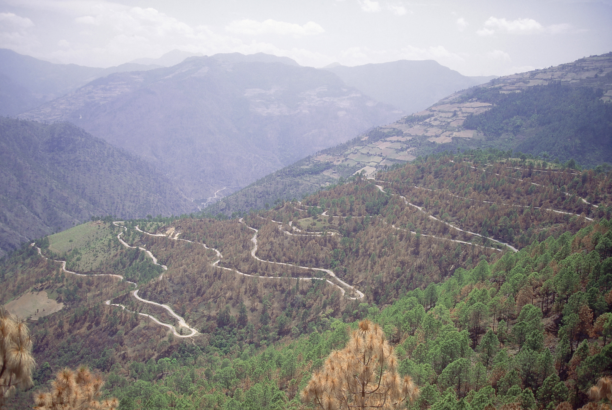 洞朗地区现在谁控制，