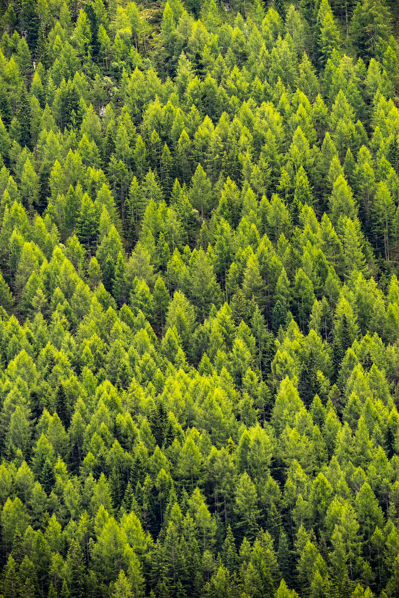 广西交通职业技术学院如何用发