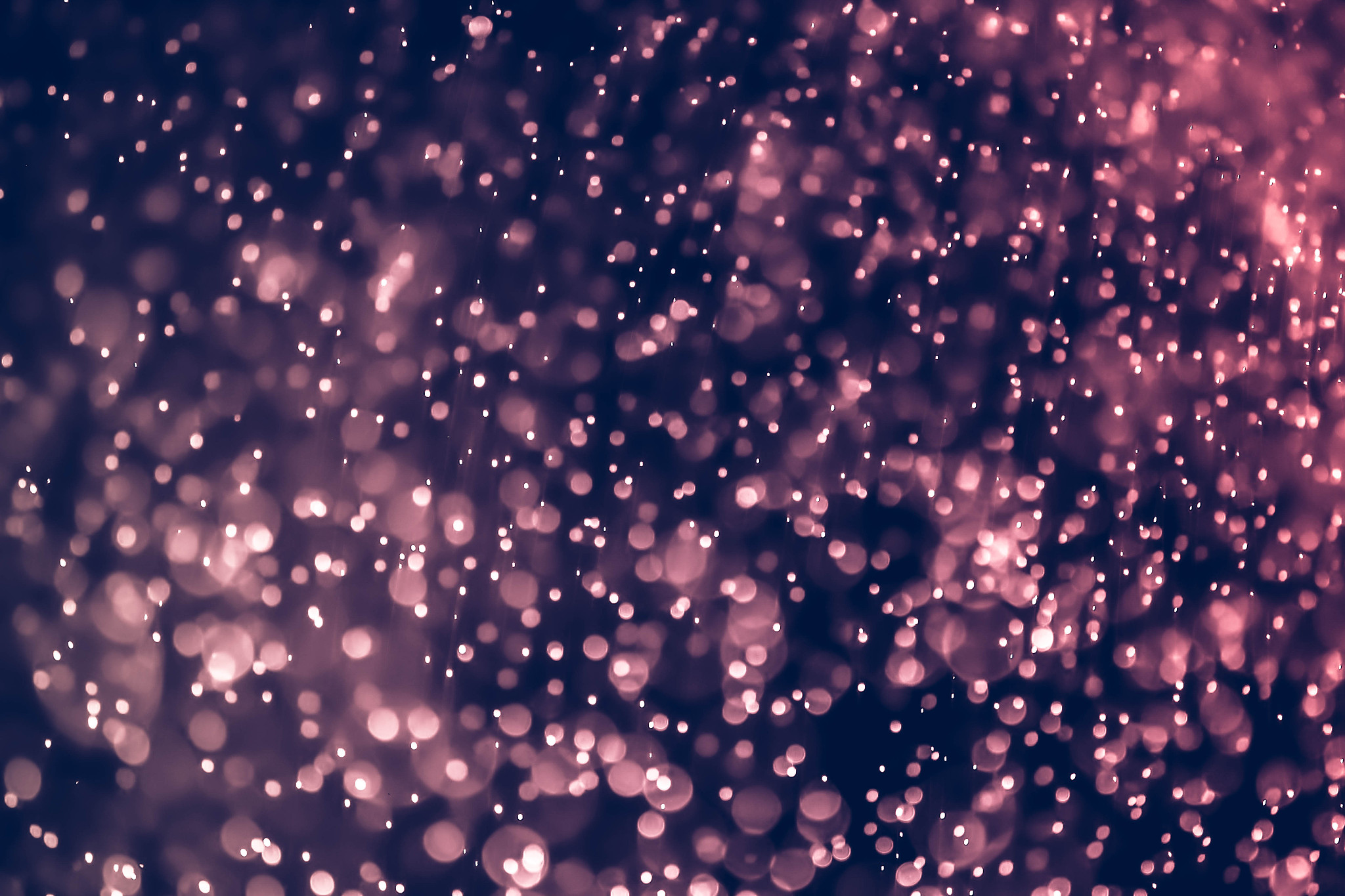 defocused image of illuminated lights