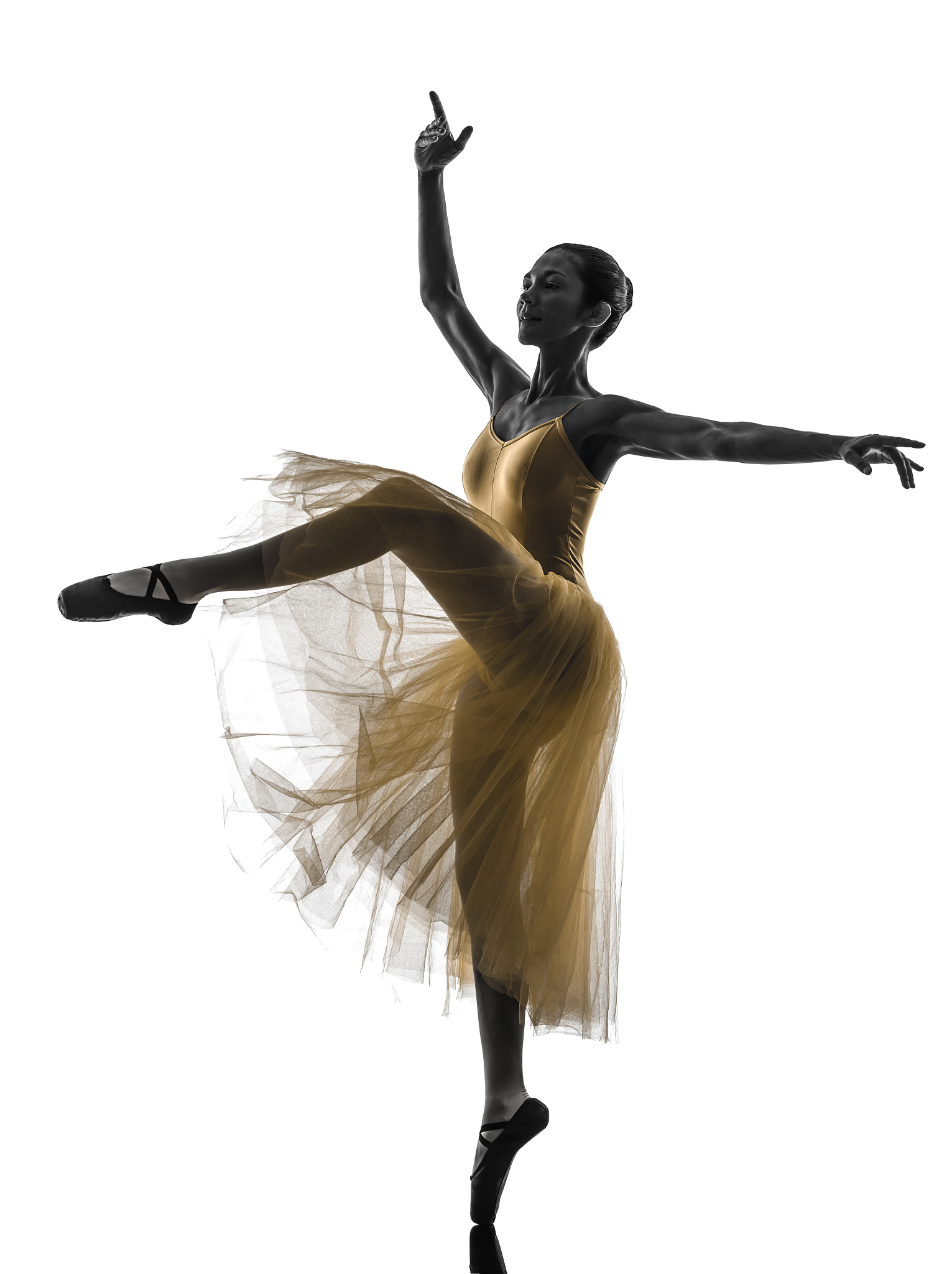 民族音乐与舞蹈专业基本功：成为优秀艺术家的必备技能