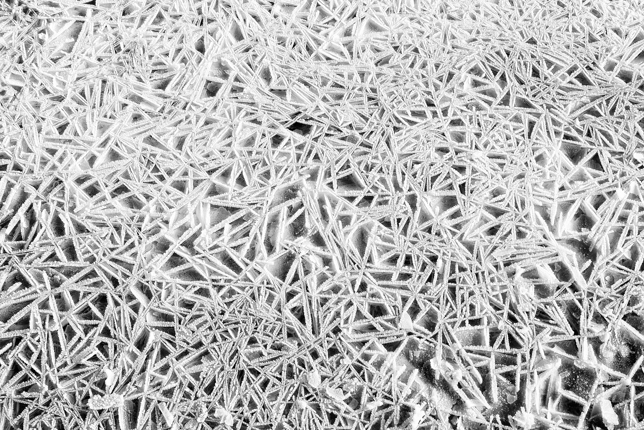 树枝晶：金相学中的显微结构特征