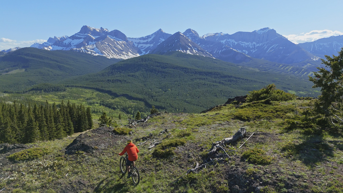 Sawtooth national forest