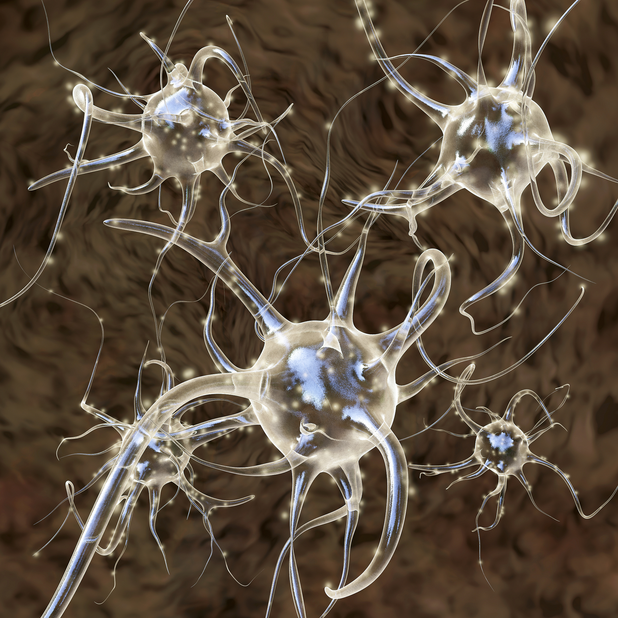 人工神经元能接收脑电波吗？人脑神经元如何接收脑电波？