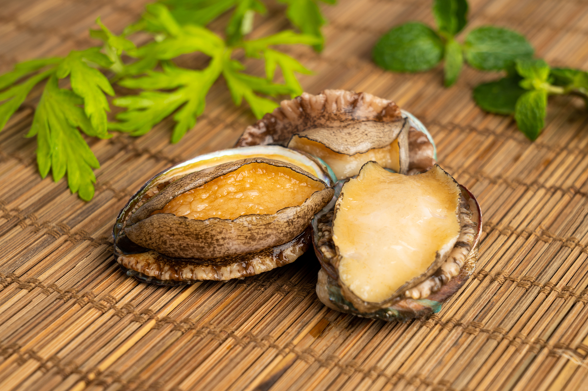 鲍鱼保存：冷藏还是冷冻？300字专业解答