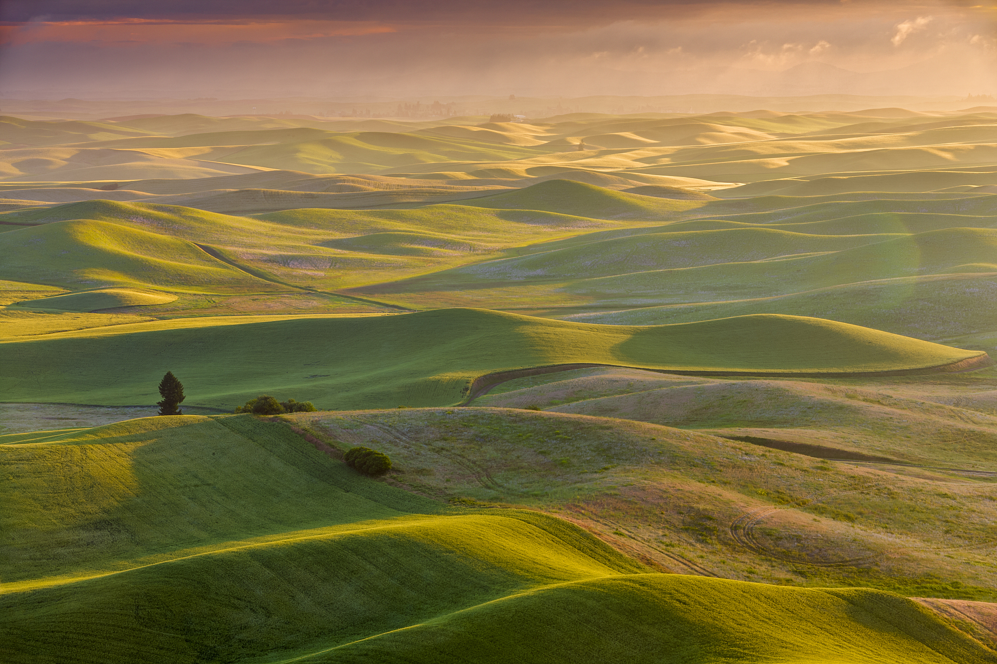 the palouse farm area in washington state