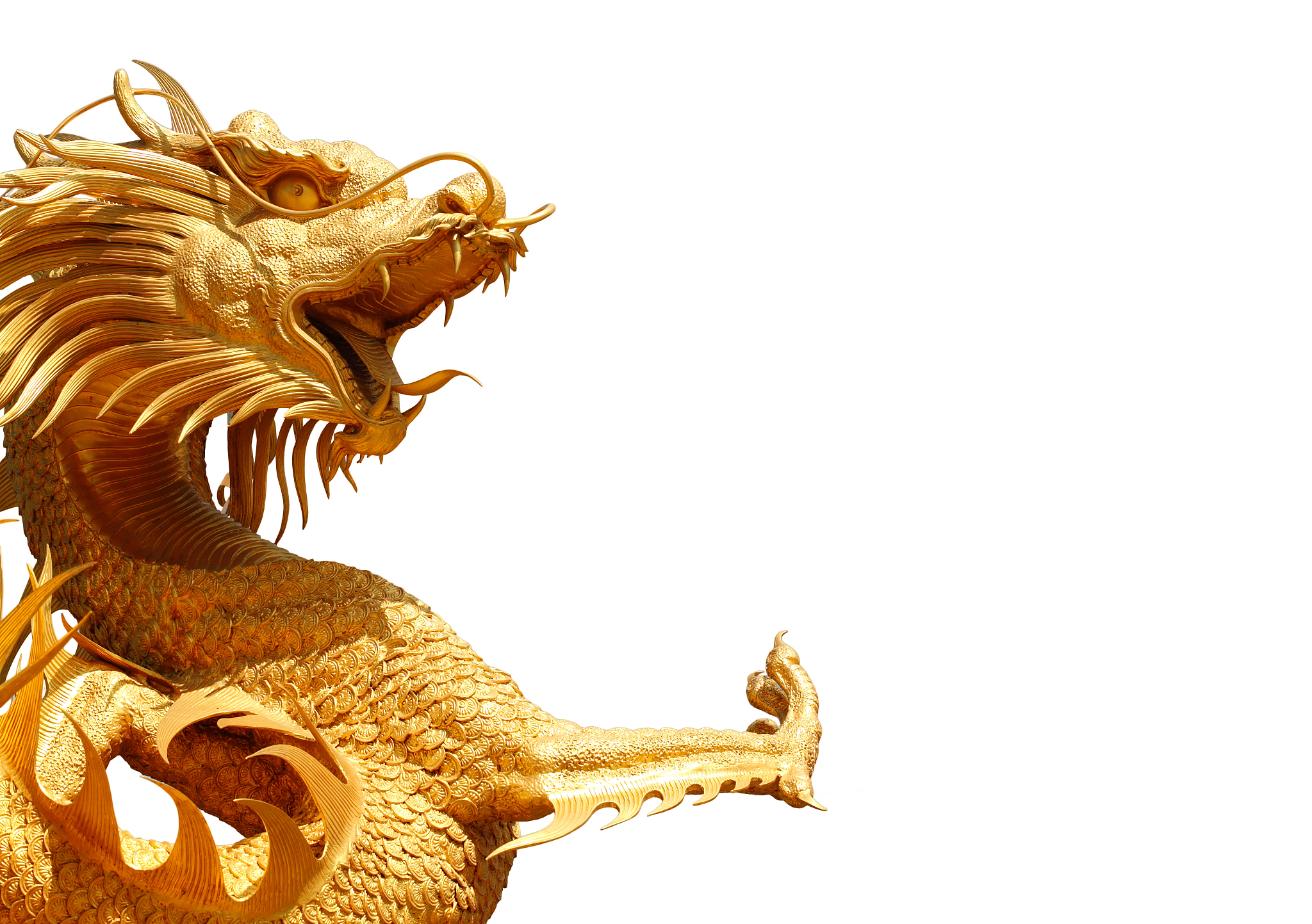 chinese style dragon