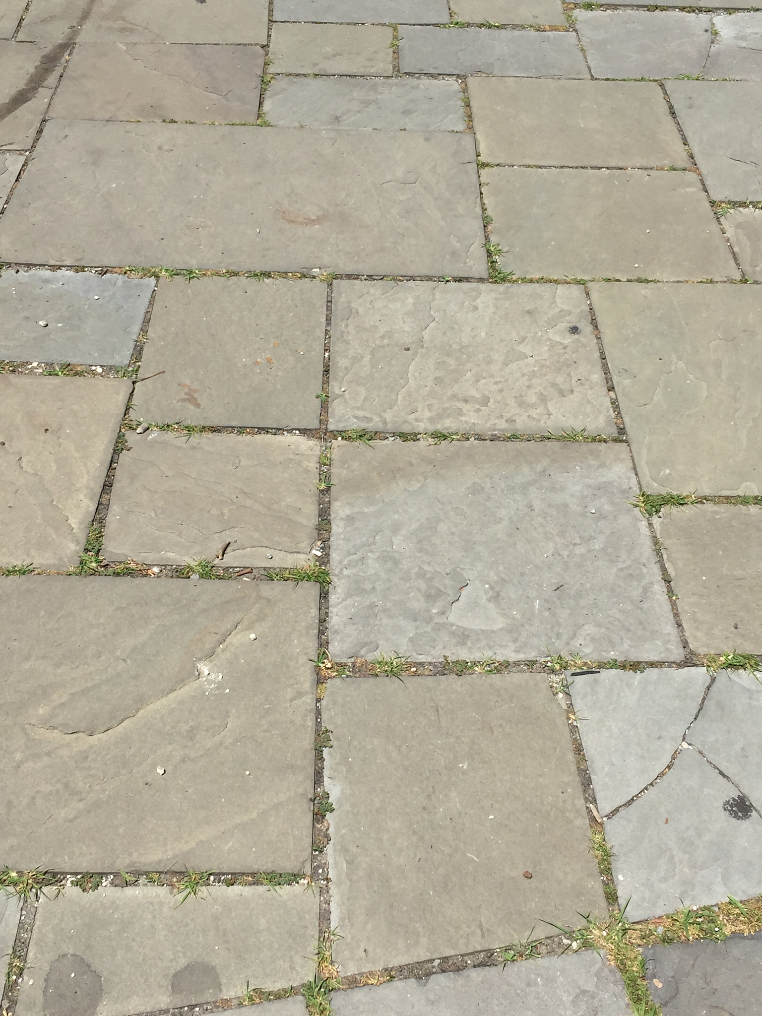 阎良区二元路怎么走？最佳路线导航指南