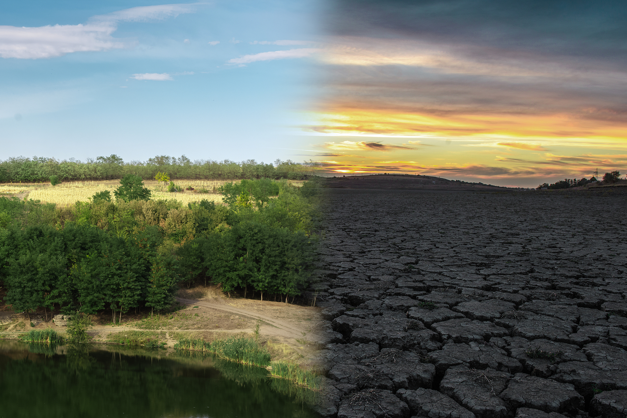 Regional Environmental Change期刊：促进地区尺度环境变化研究的国际平台