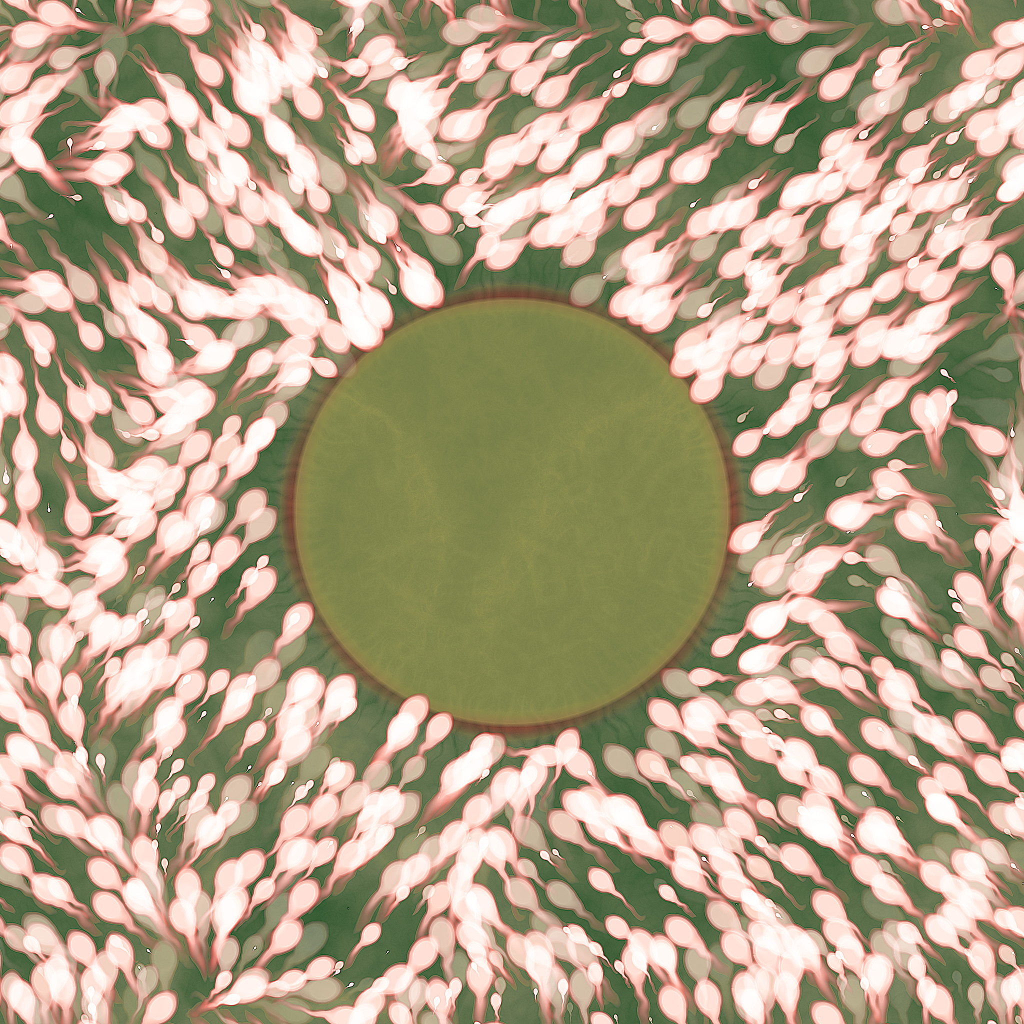 求内接于半径为a的球且有最大体积的长方体