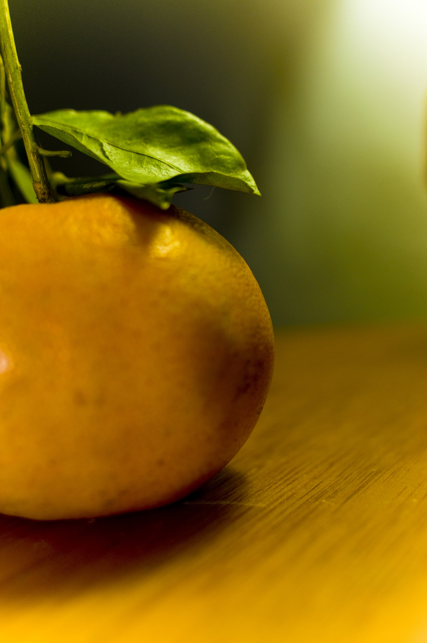 橙子的历史渊源