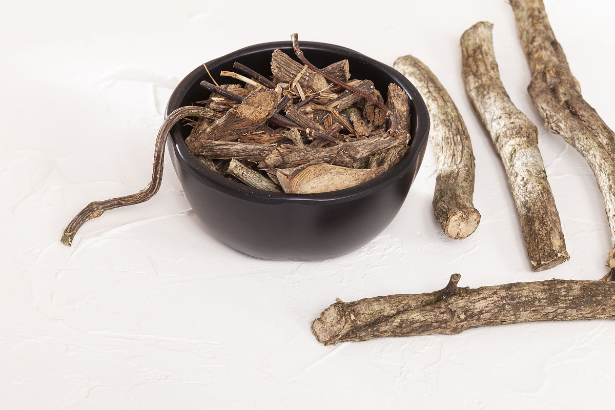 凉山民族师范学校专业有哪些主药课程？