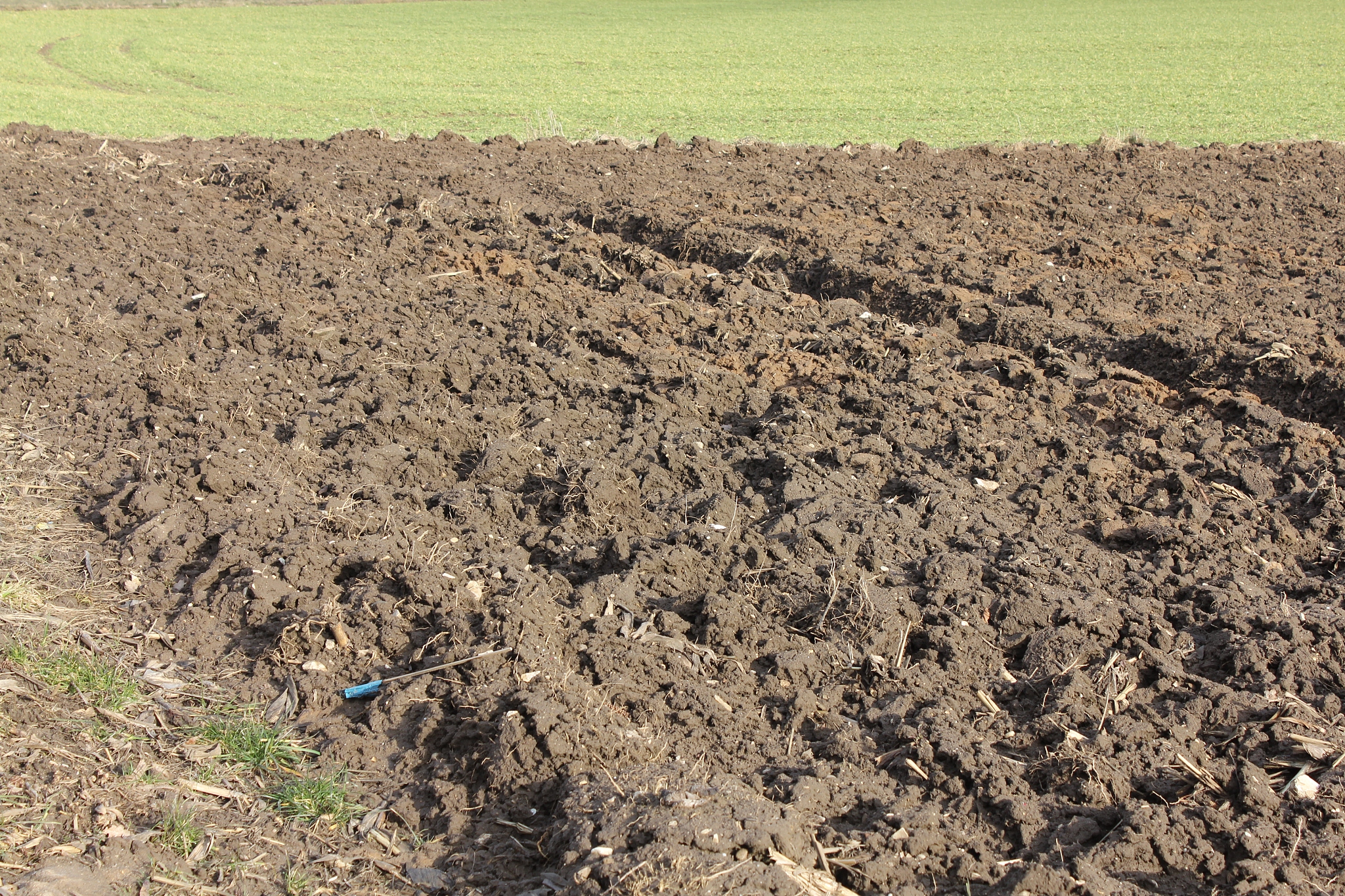 用不同的词语说后边这句话，重金属污染会影响土壤中微生物和植物的生长和发育