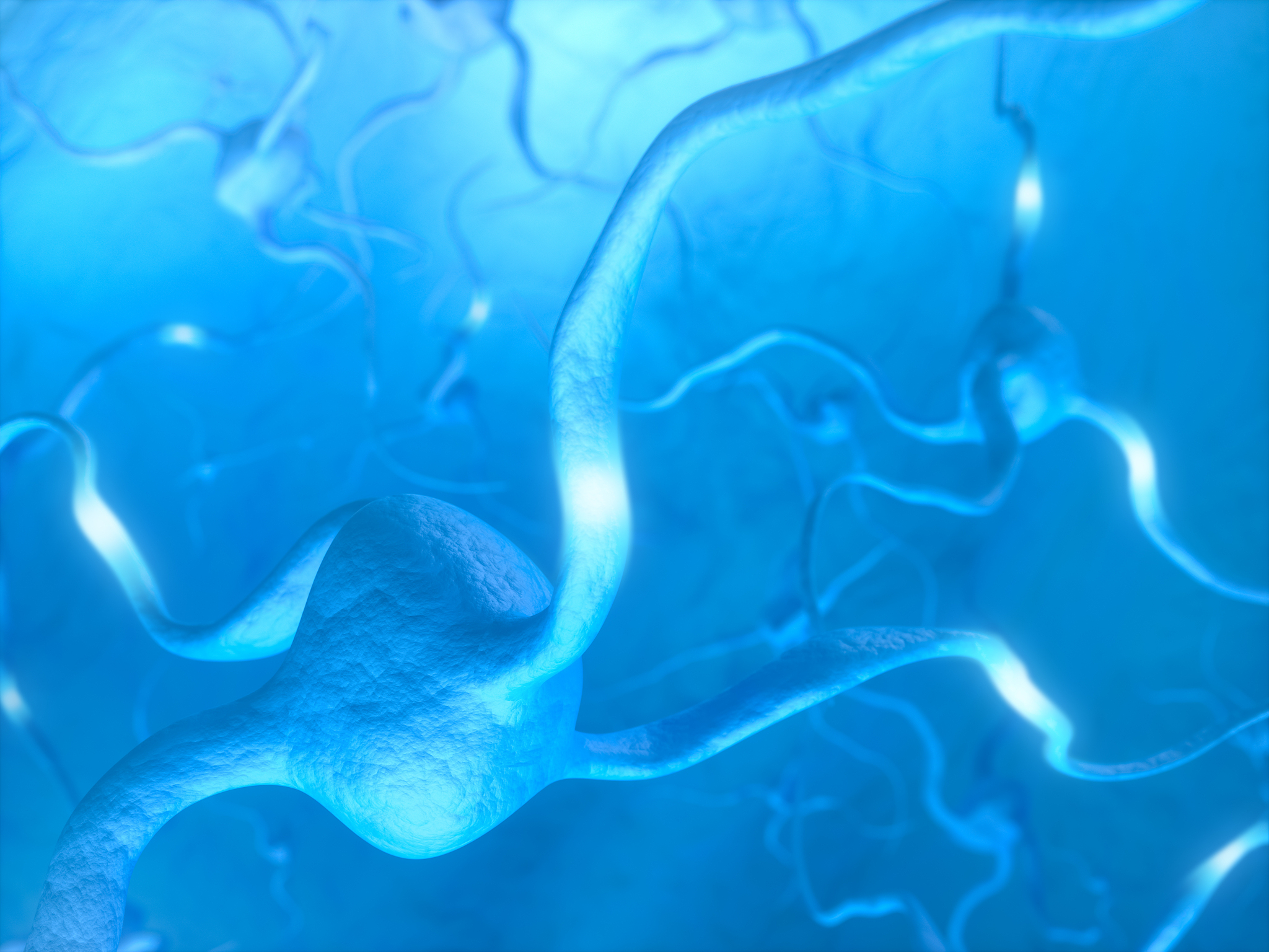 阈上刺激：神经元兴奋的关键