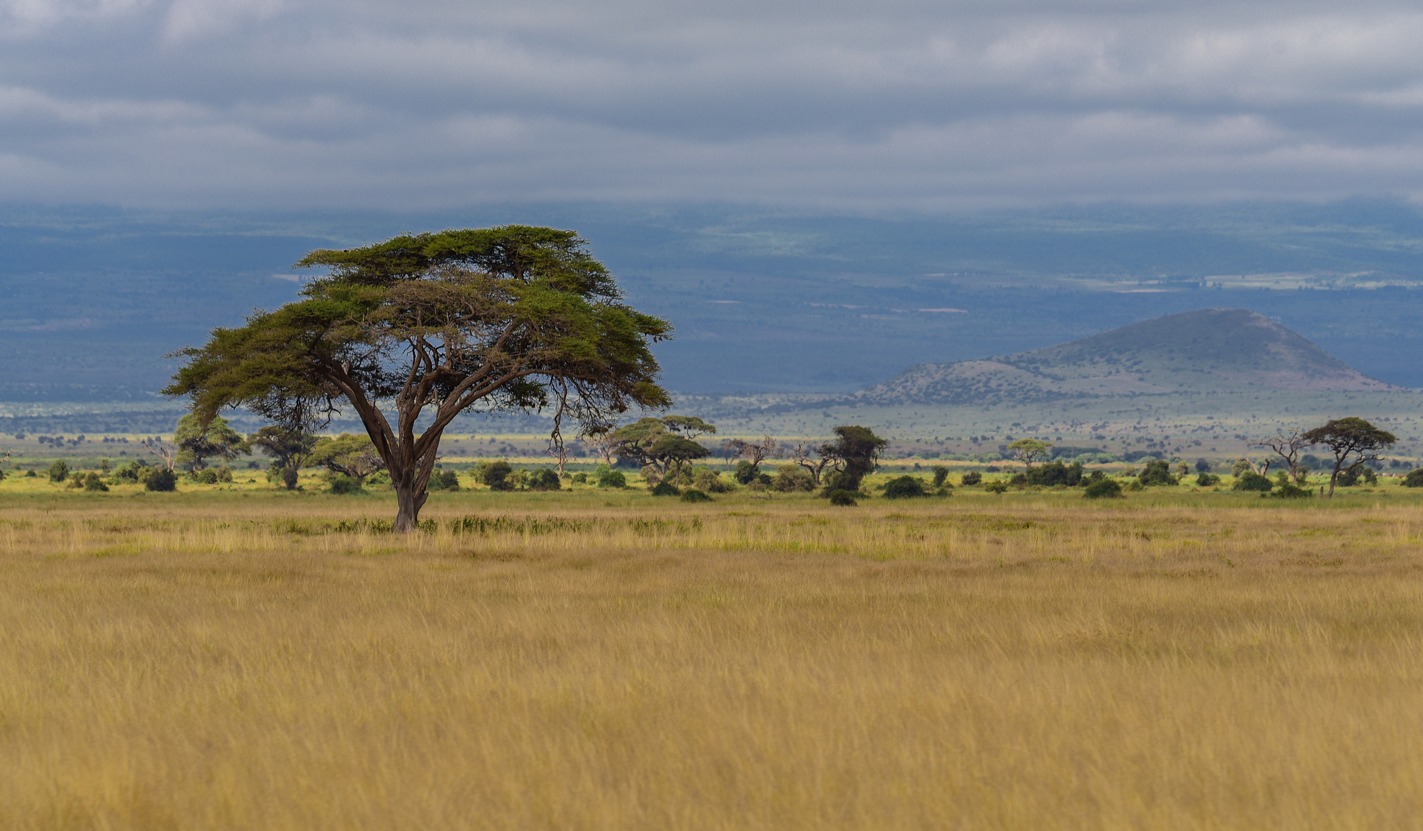 base foot of kilimanjaro !