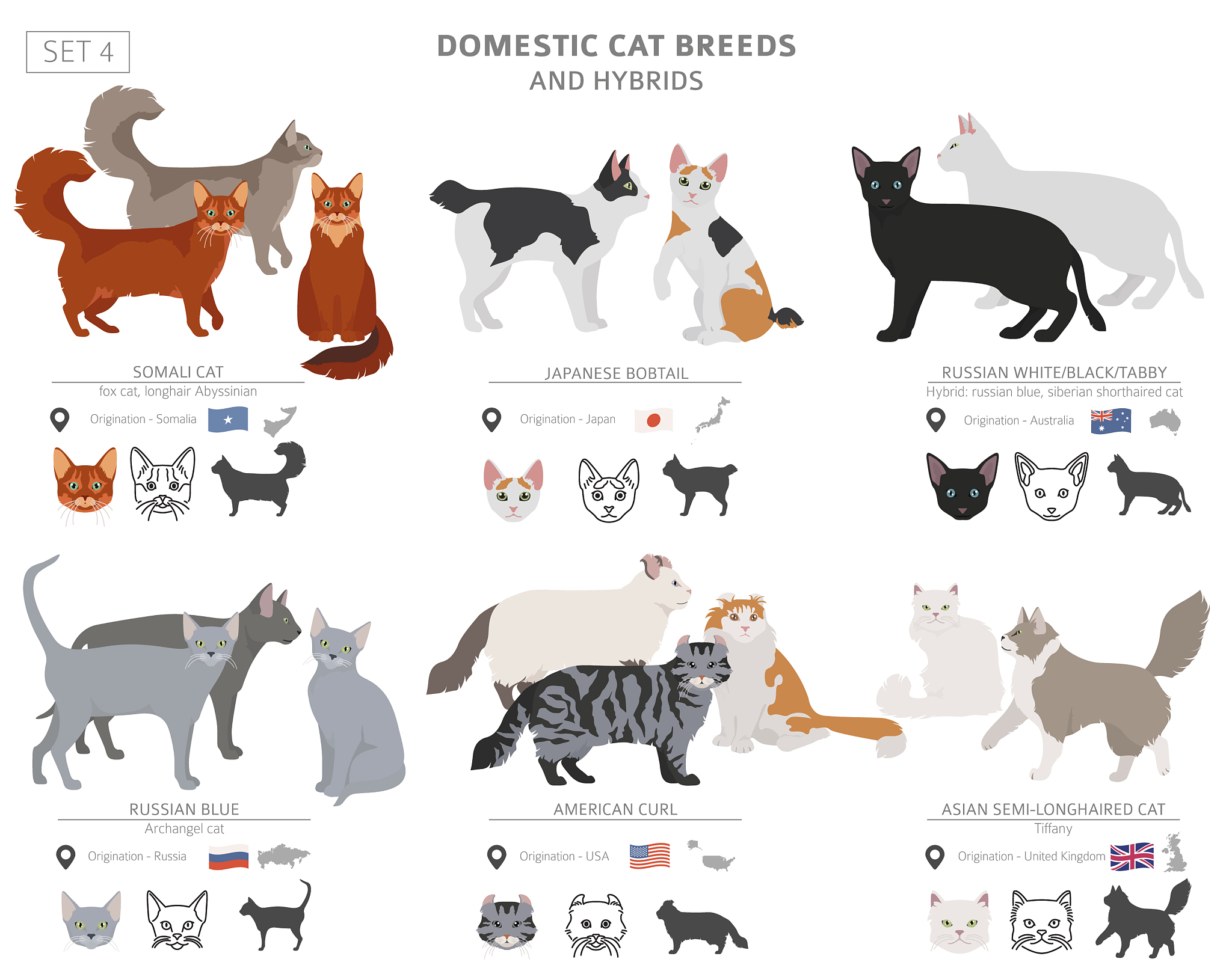 write a poem about cat in fire