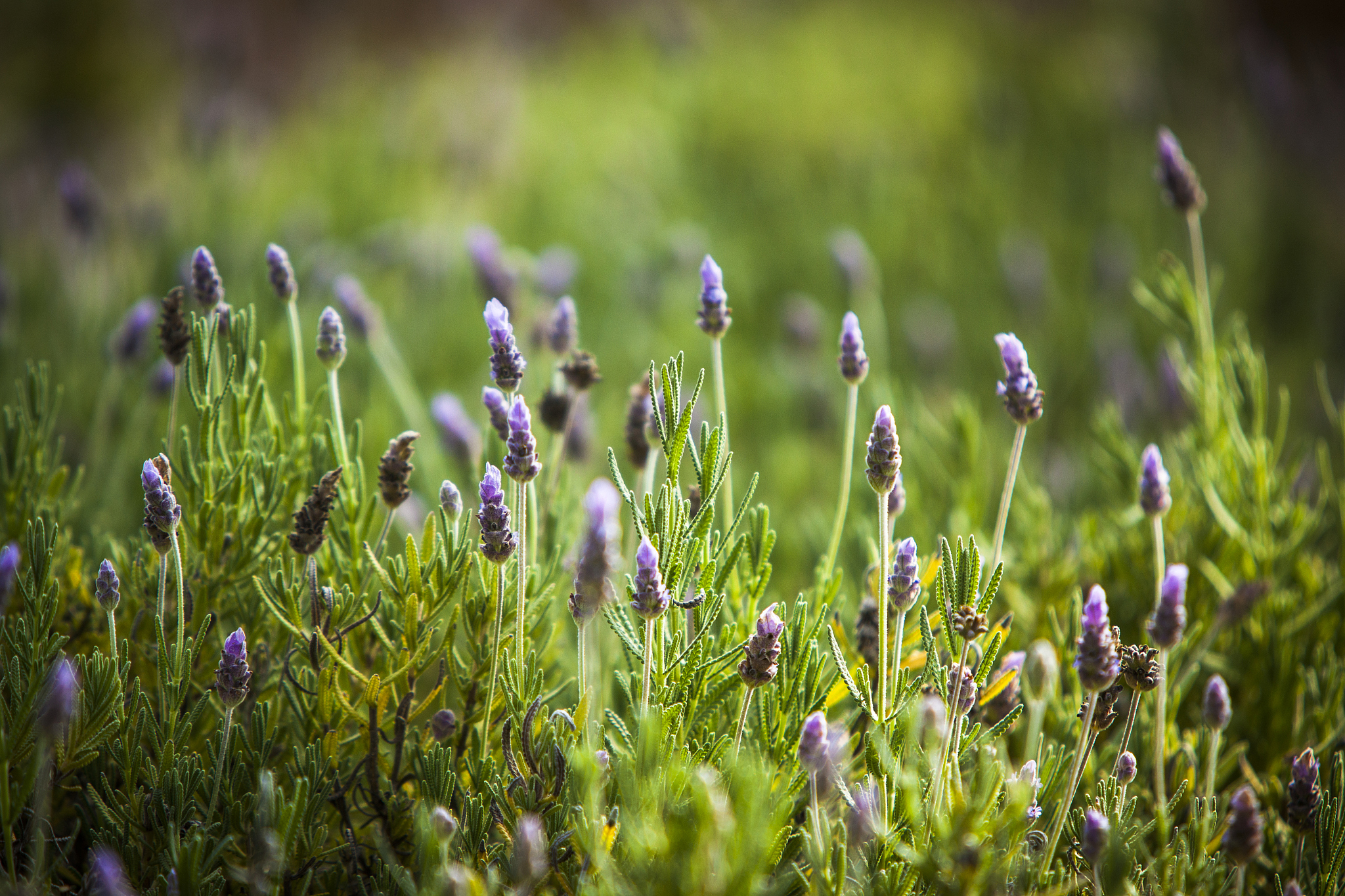查询企业机读档案：详细步骤指南