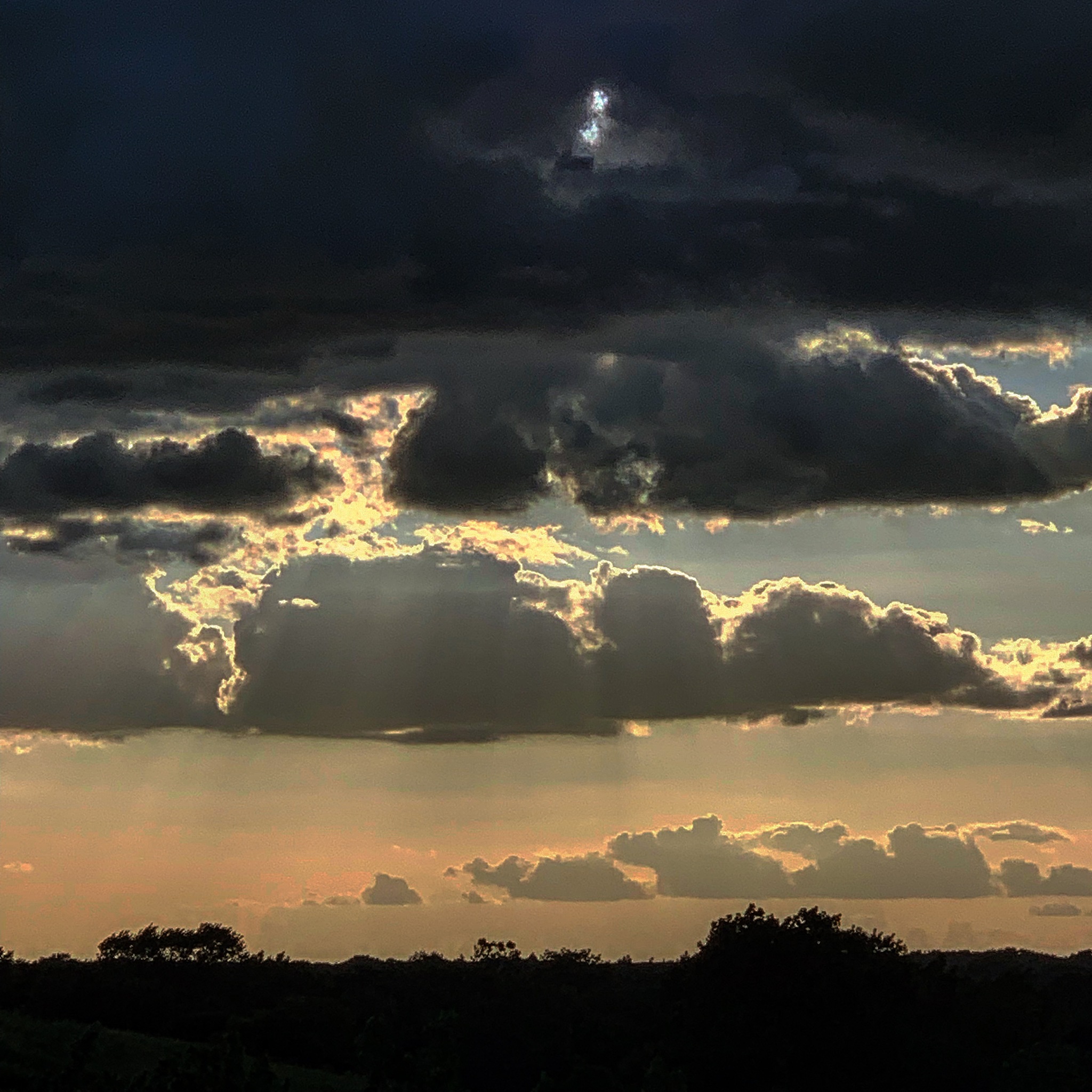 成都文科高考热门专业：学前教育专业详解