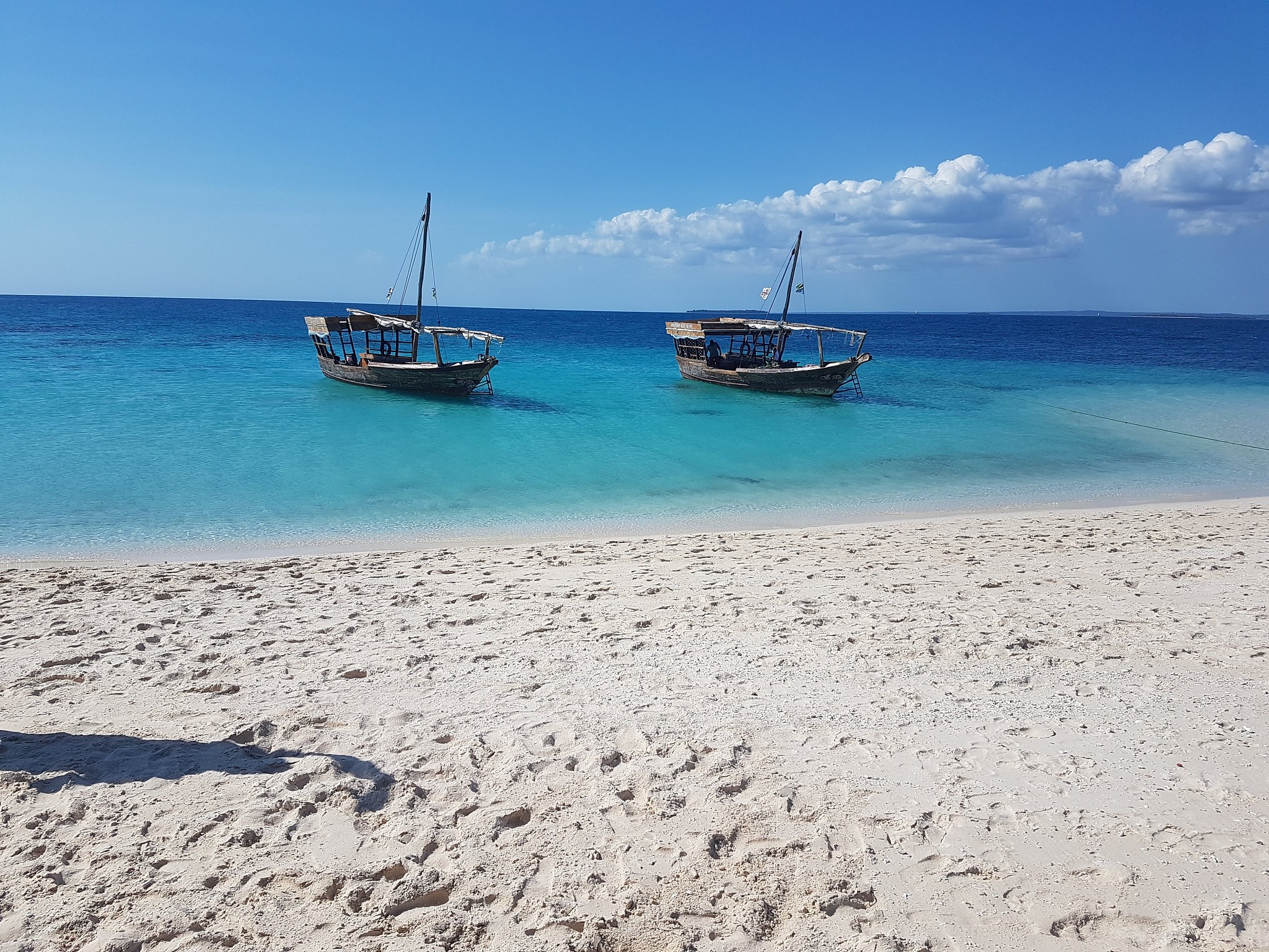 zanzibar life