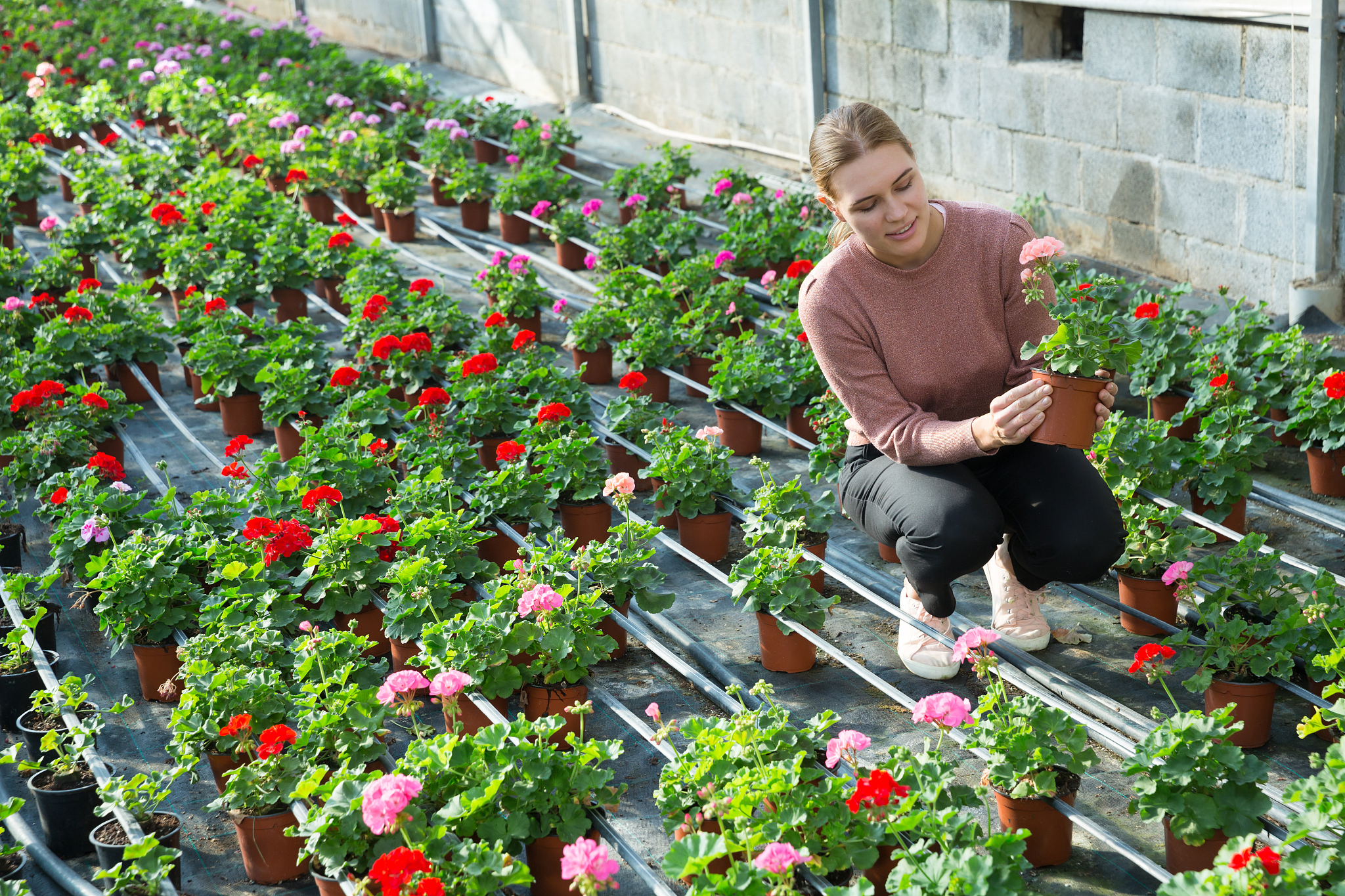 黑龙江农业职业技术学院商务日语专业专业到底行不行设有哪些课程