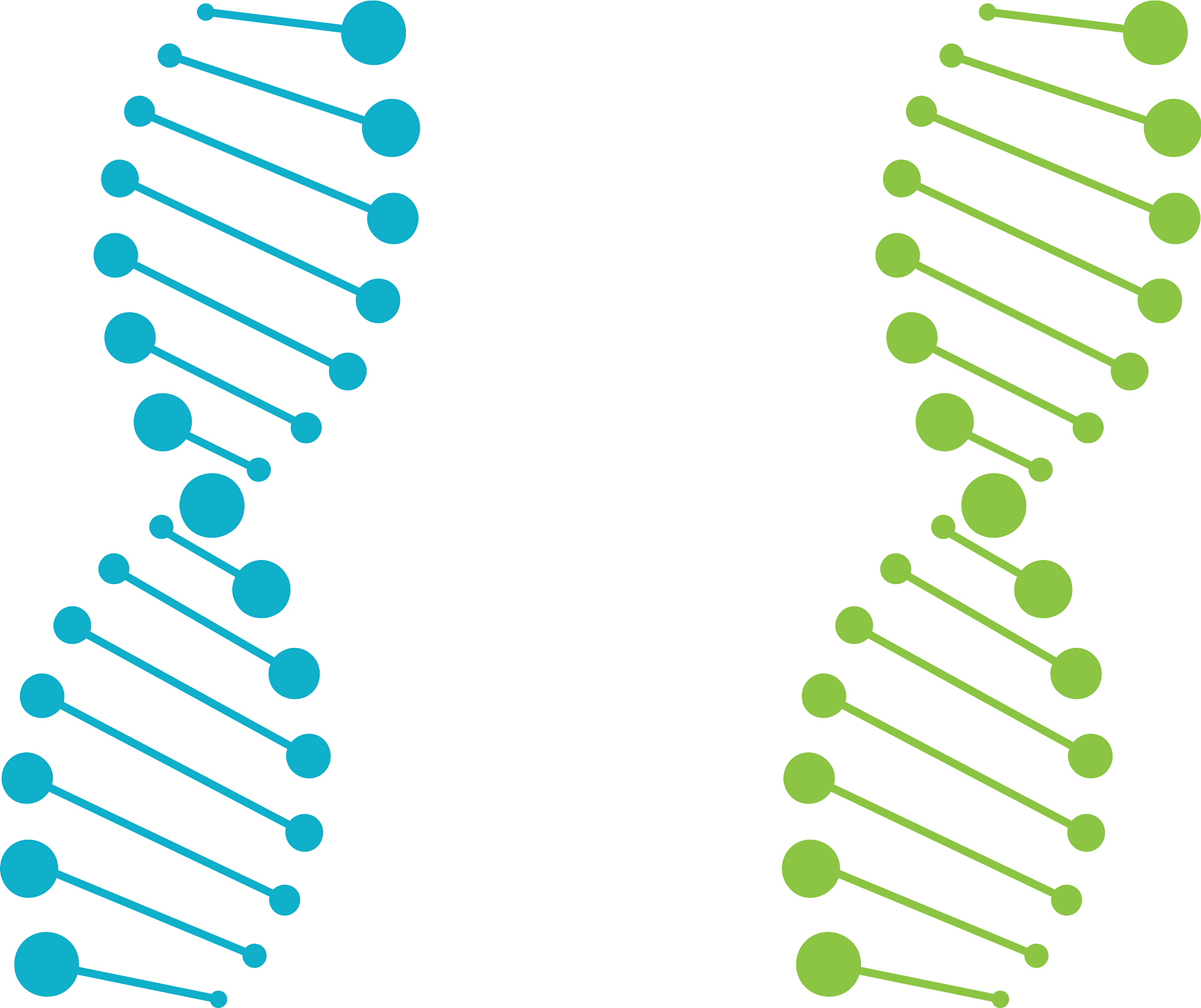 肌球蛋白凝胶 氢键离子键疏水相互作用