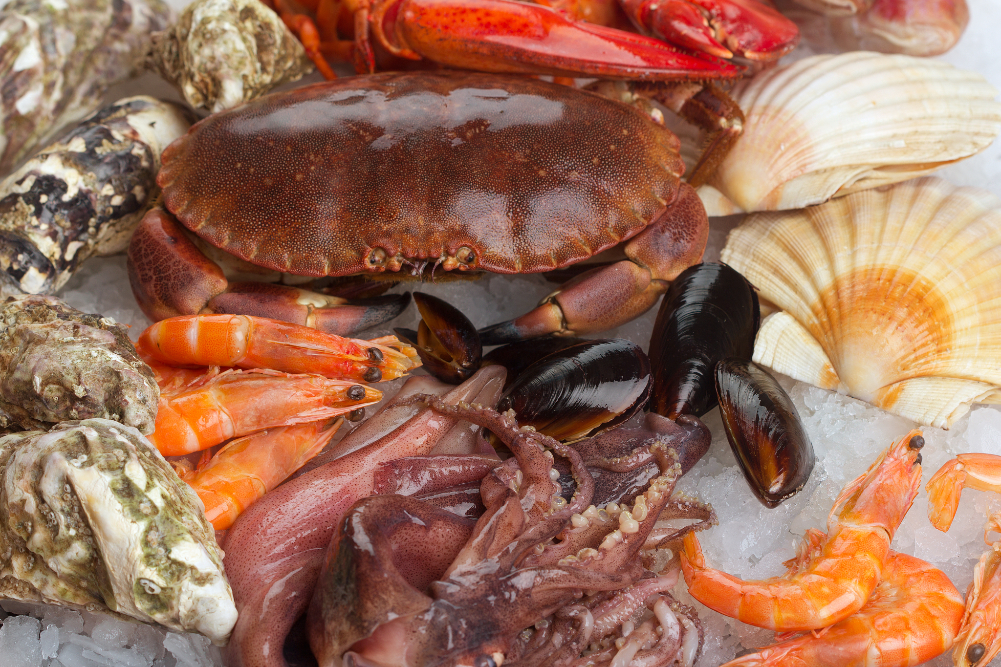 涮火锅的蟹肉原材料是什么