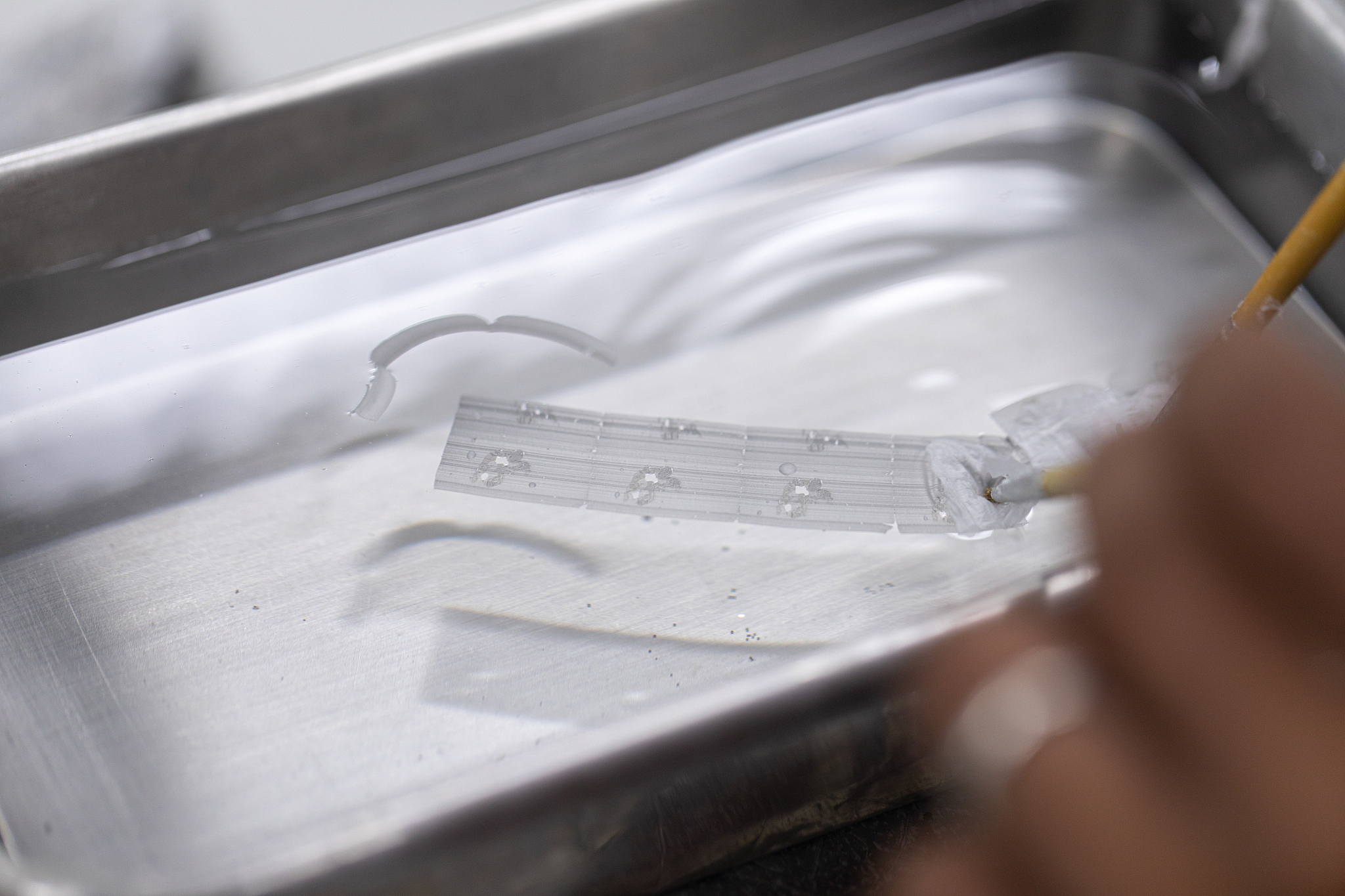 组织切片处理方法：固定、脱水、包埋和切片