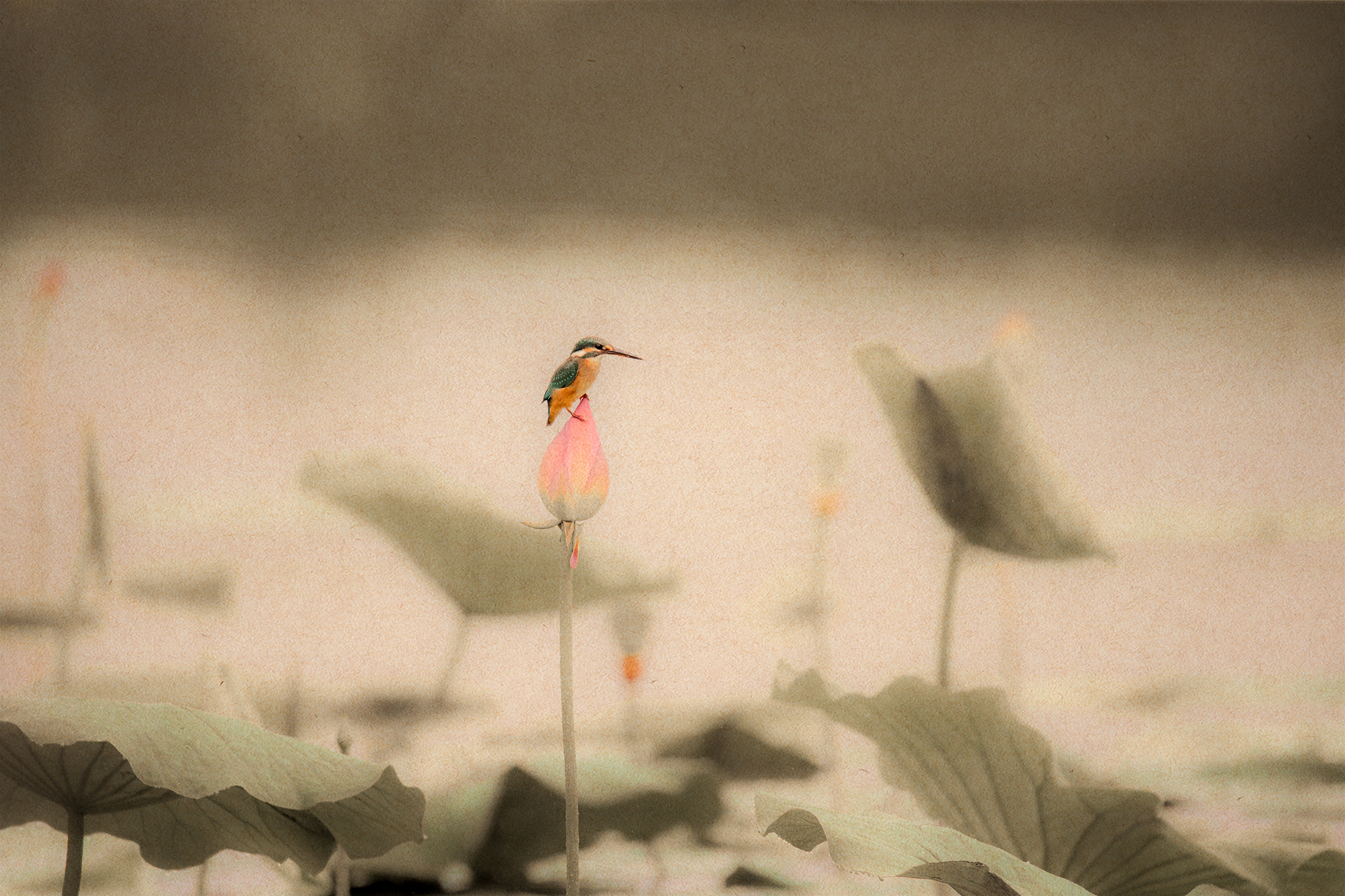 甘肃艺术教育专业大学排名及院校推荐