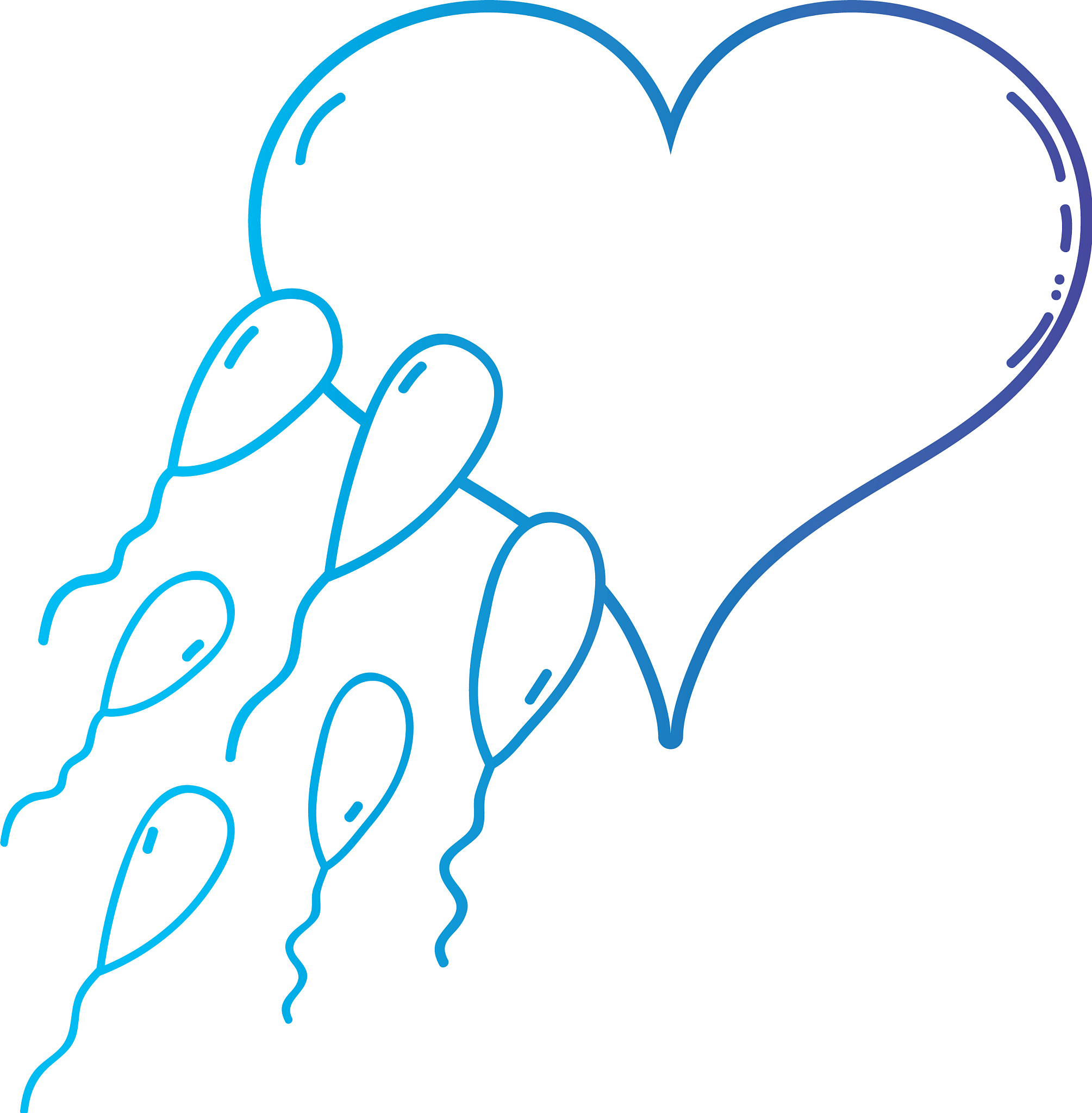 人类的起源：从受精到出生