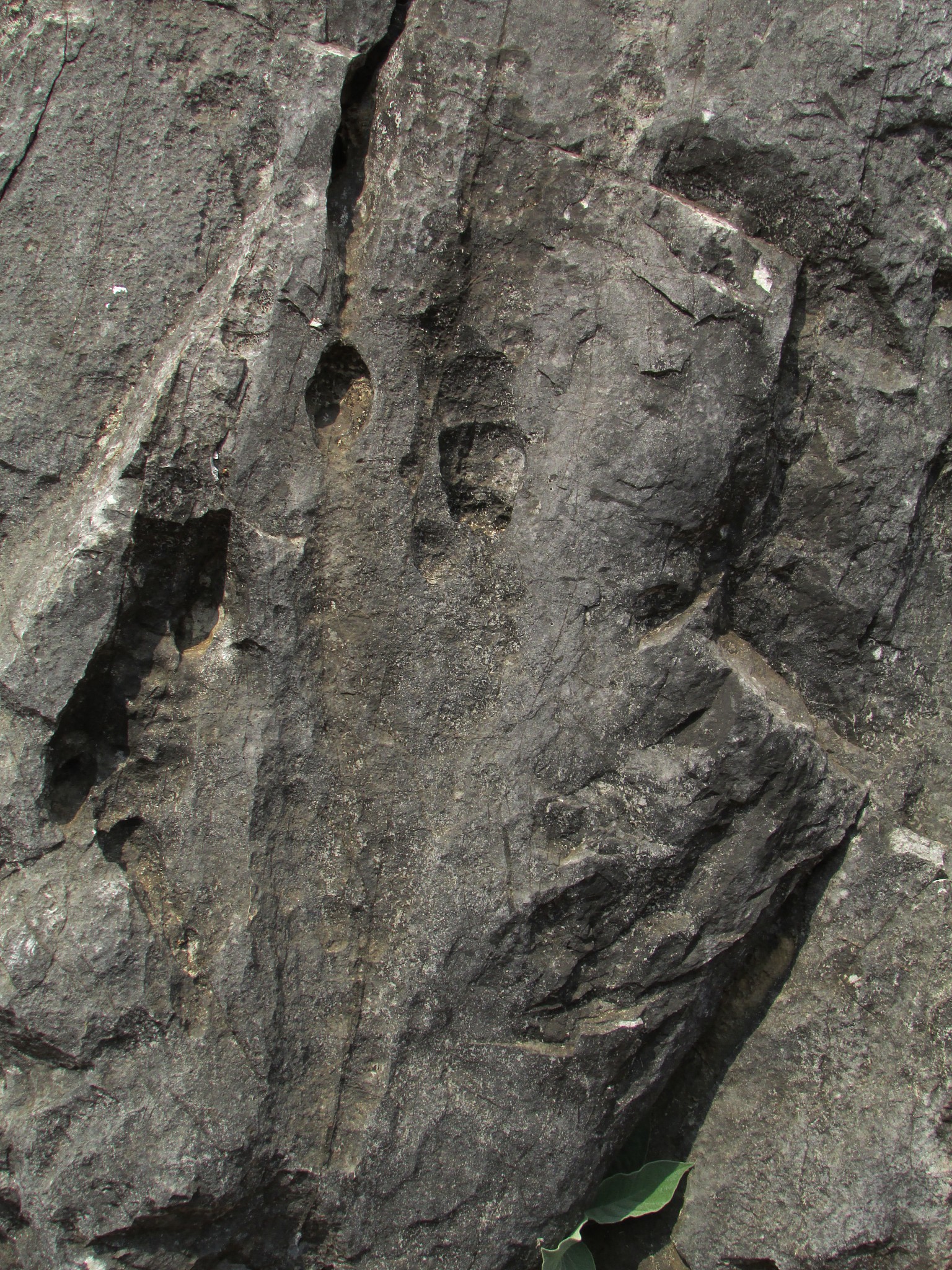 不易风化的岩浆岩类型及特性