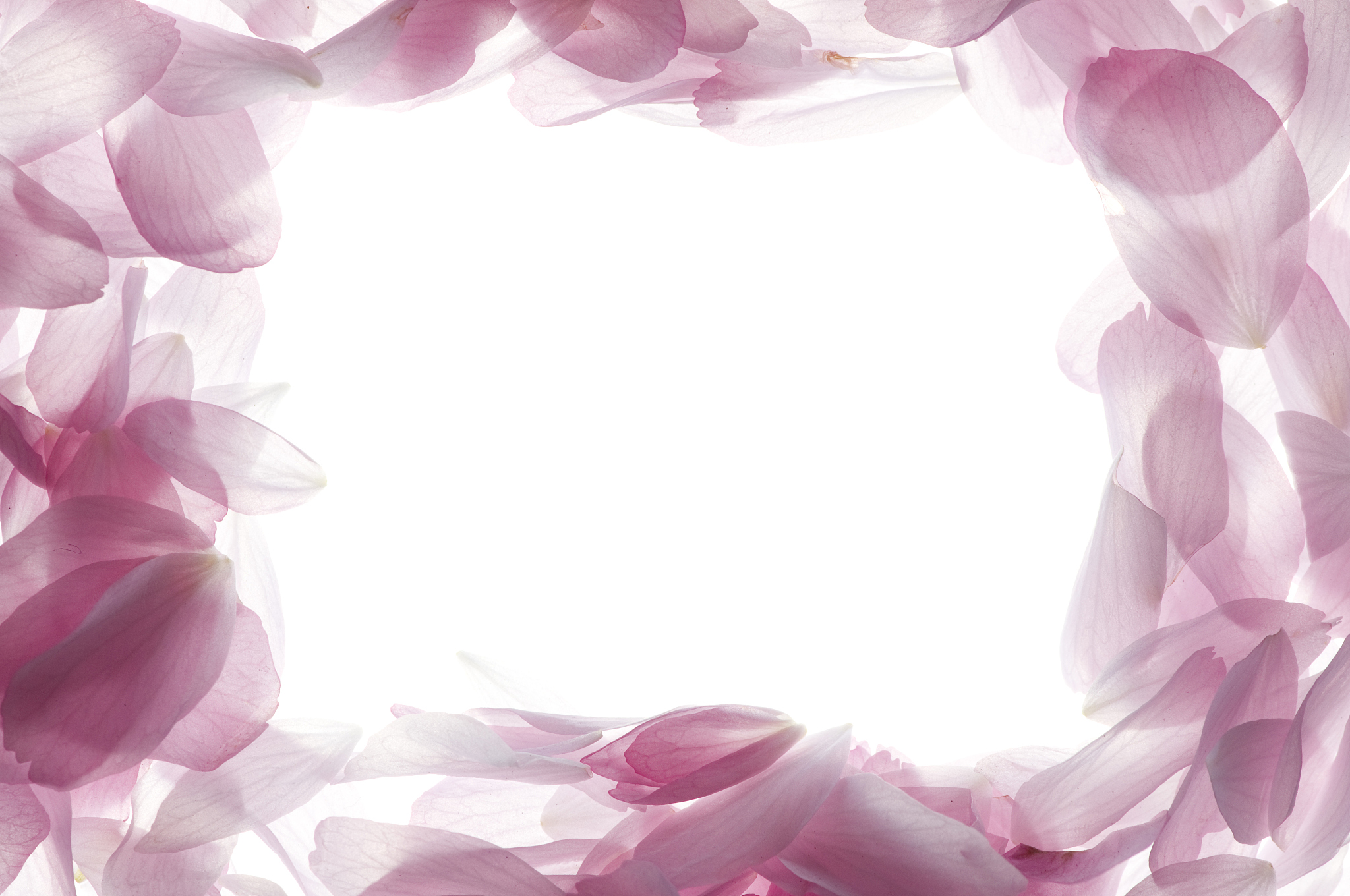 petal frame