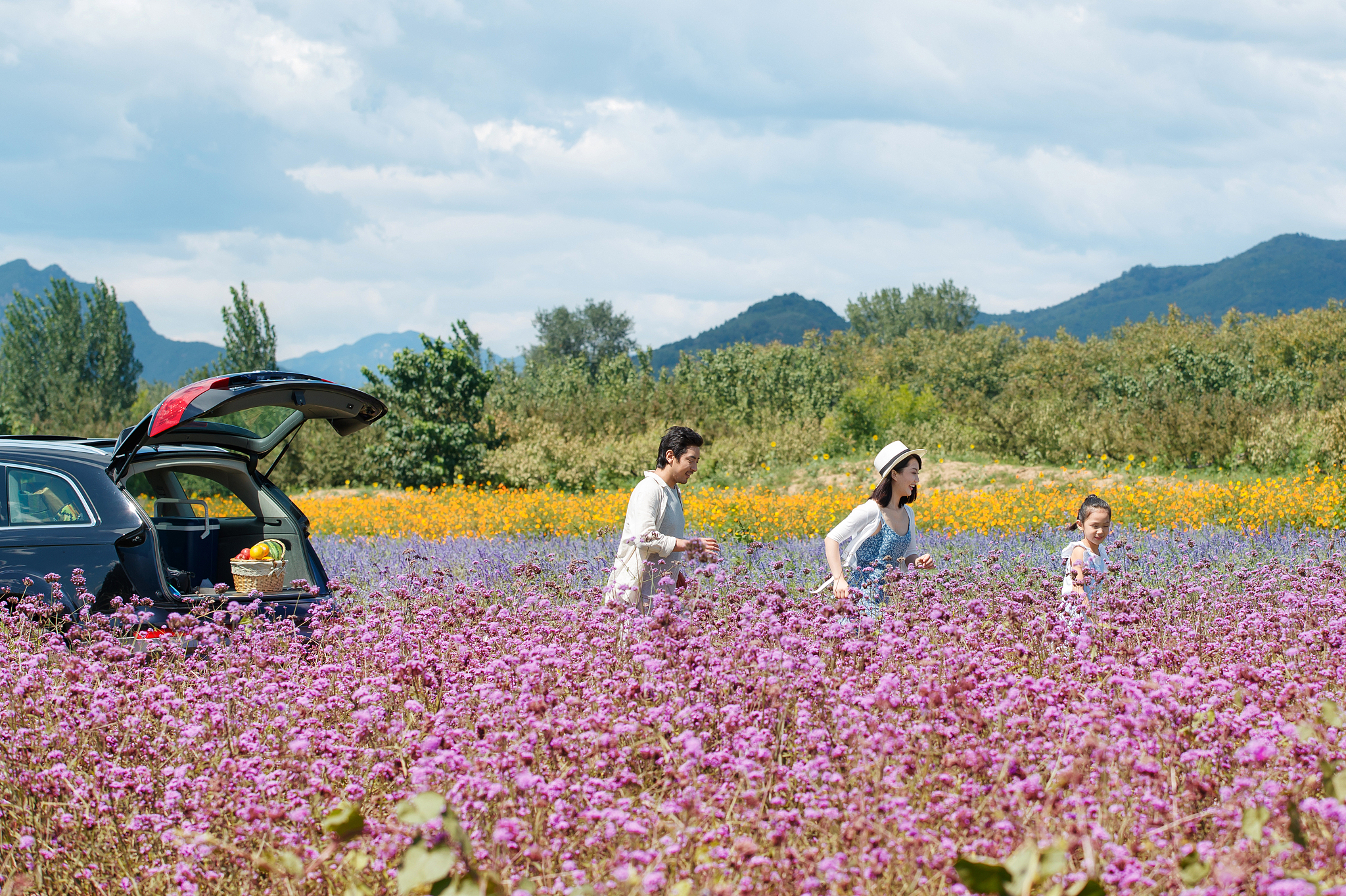 深圳景点花海调研项目