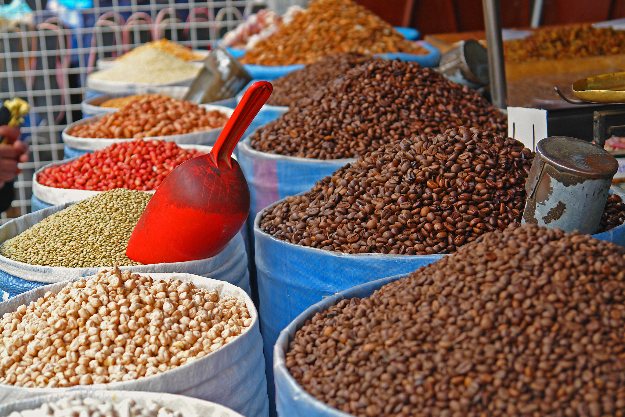 全球咖啡豆贸易发展趋势：从传统到创新