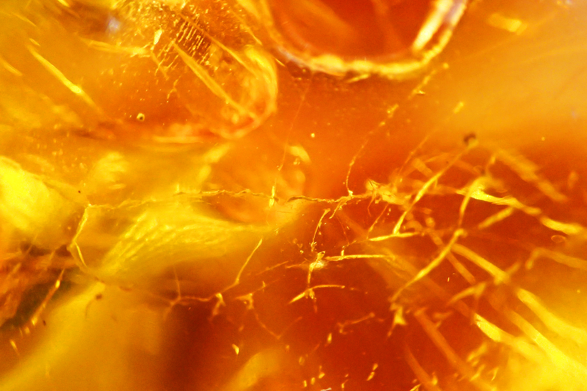 yellow amber texture