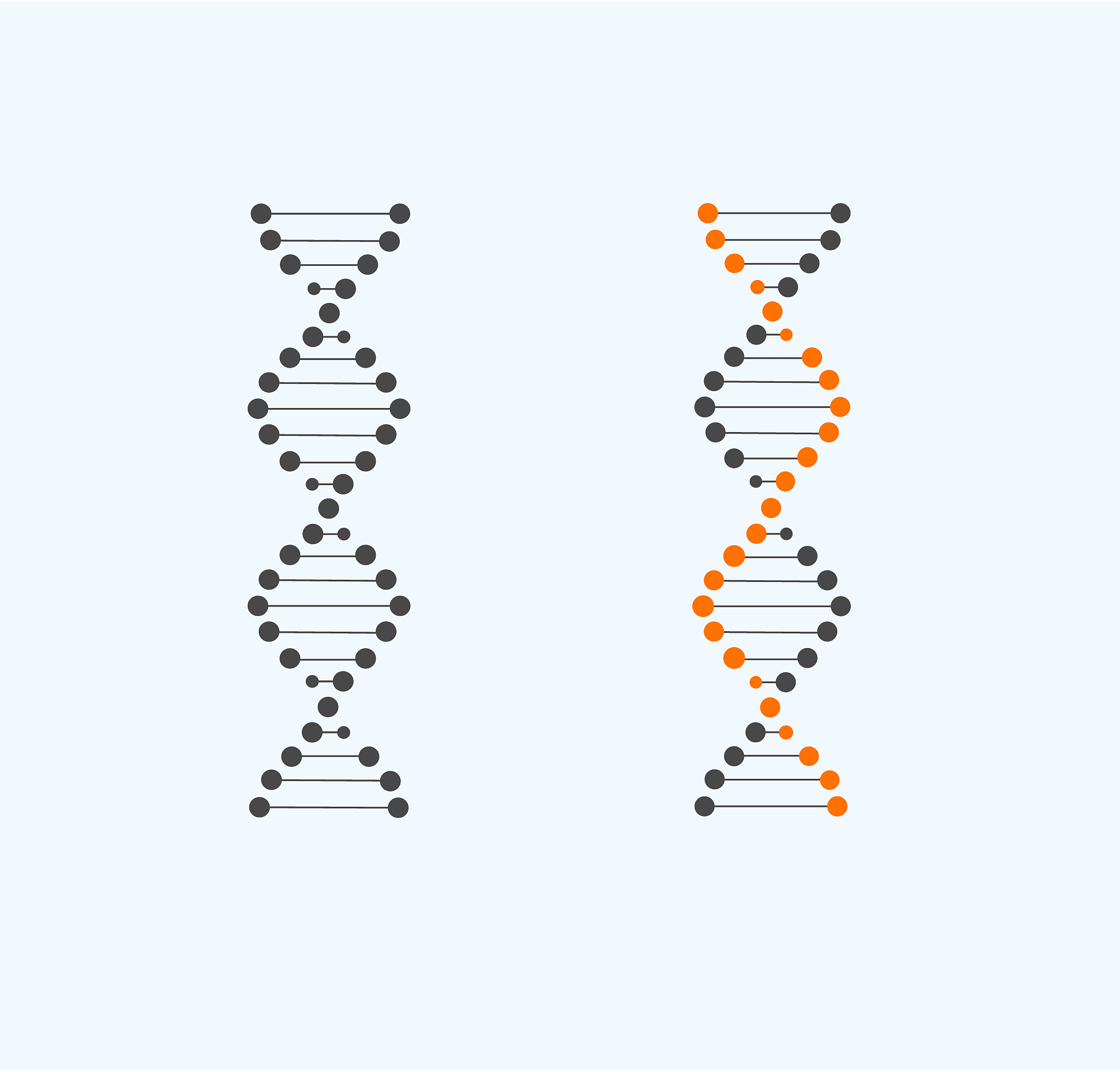 DNA 是什么？什么是脱氧核糖核酸？DAN 解释